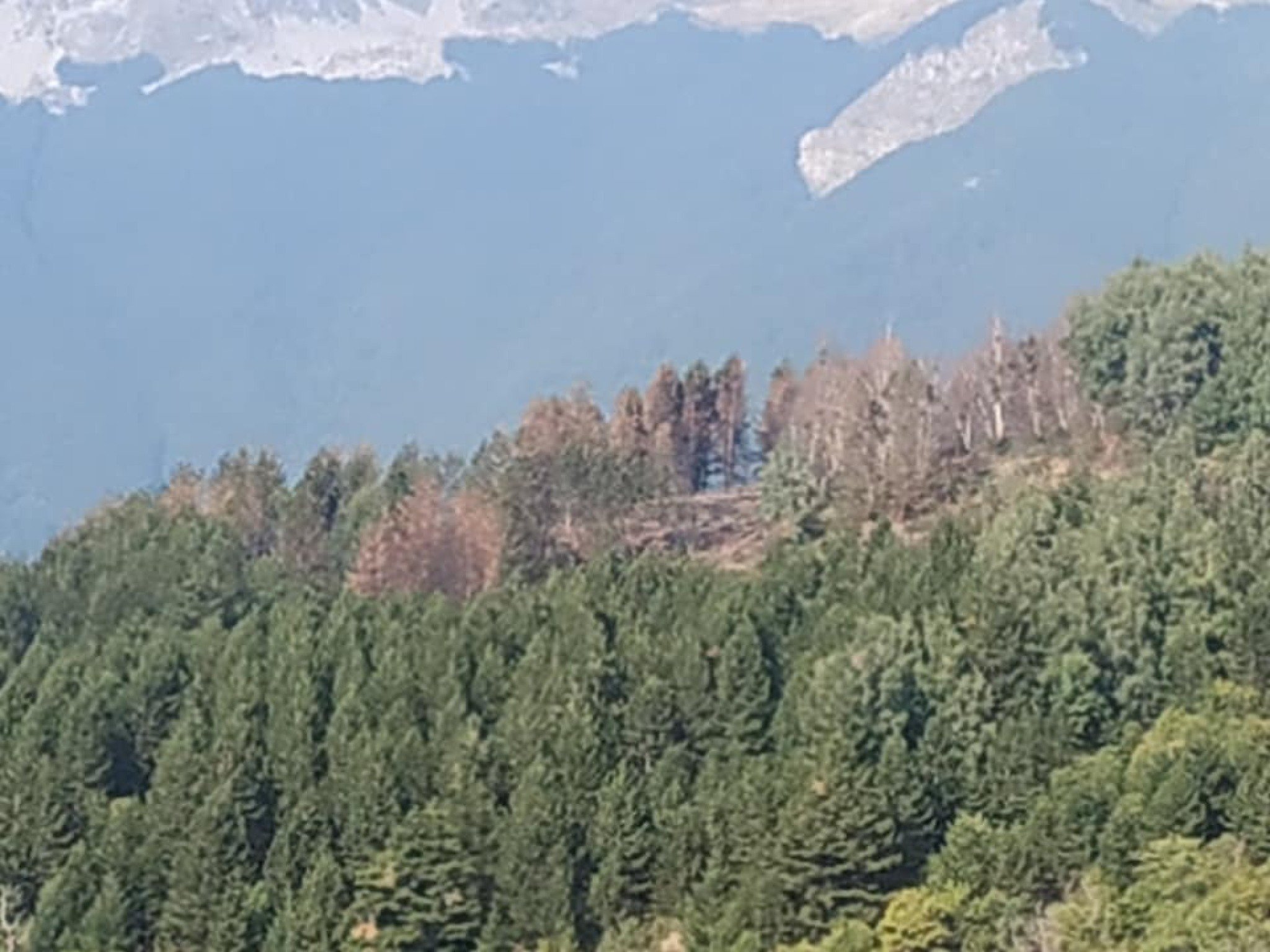 238815223_1246911605746069_8849644379769464711_n