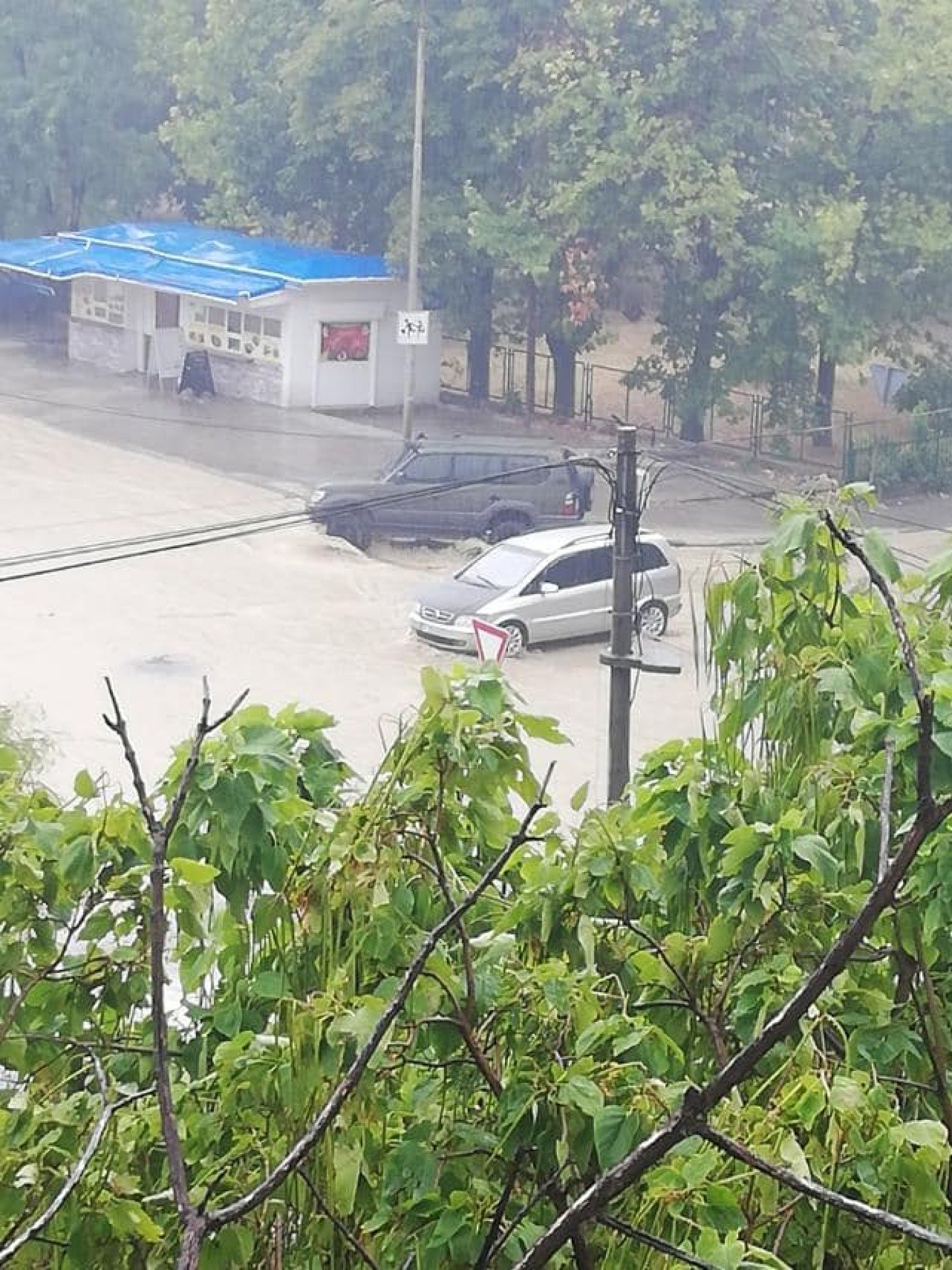 236608239_377041130826420_6287245567651353332_n