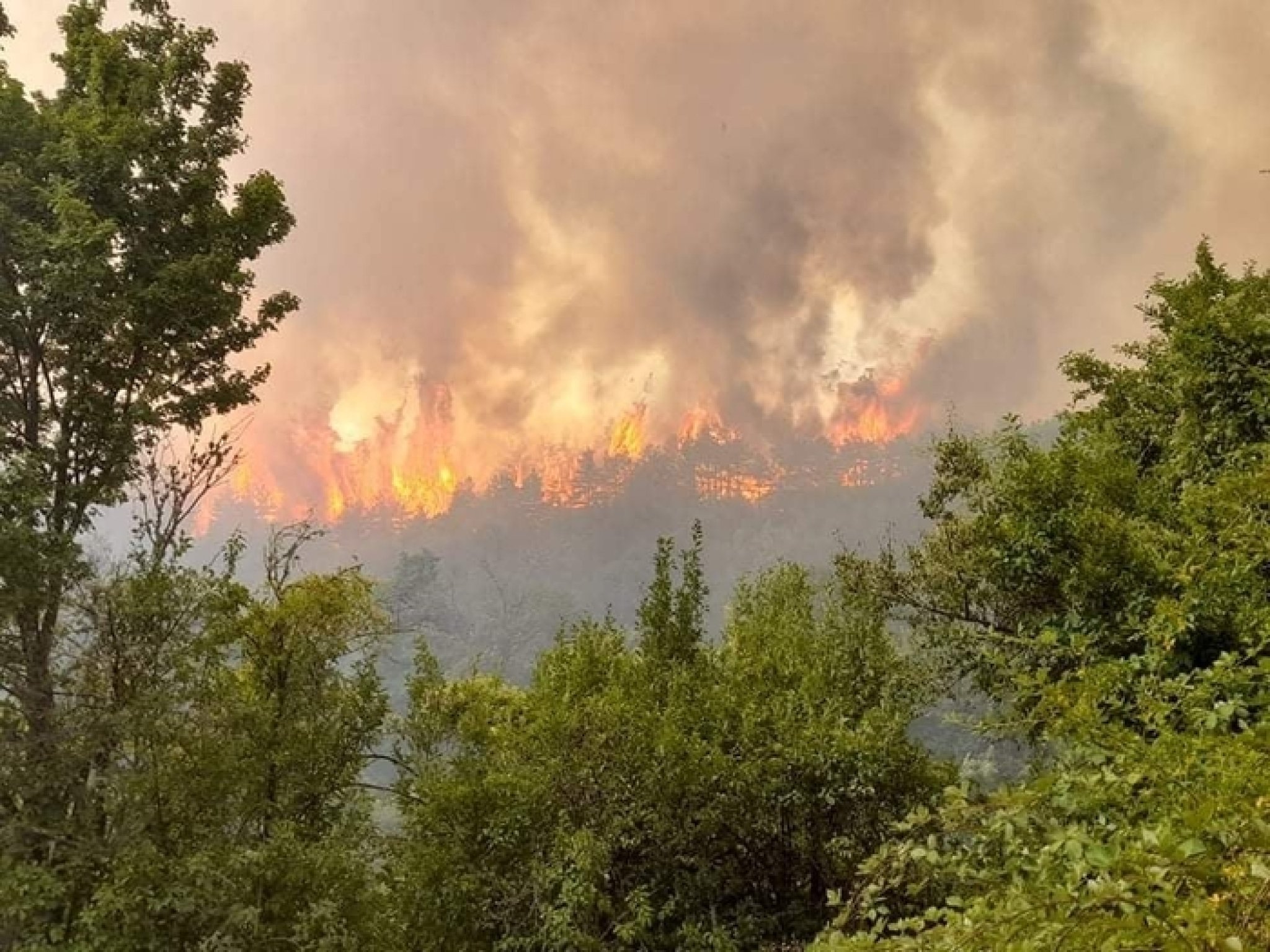 pozar-istocna-960x720-312784