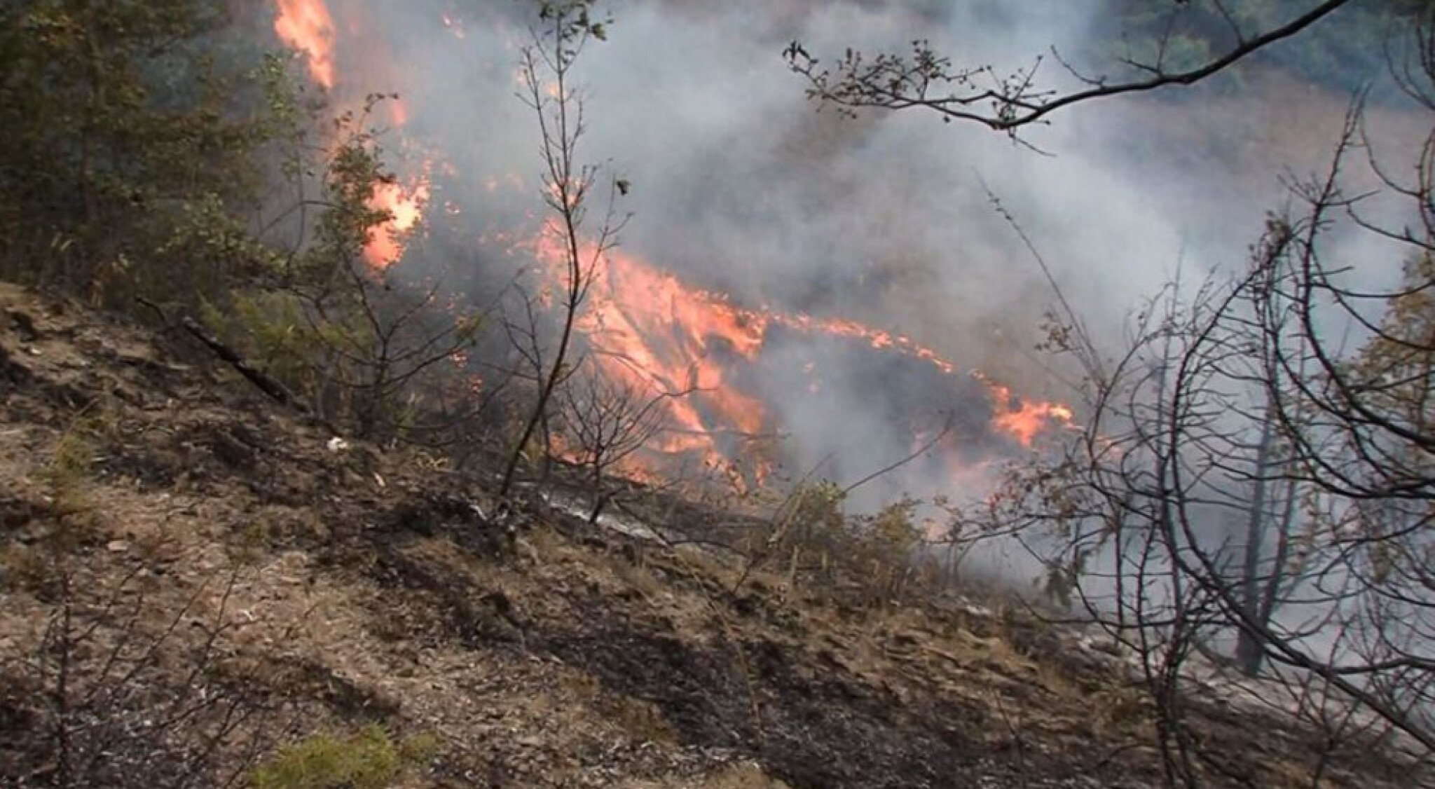 lup3xvfxuixiha7plz17