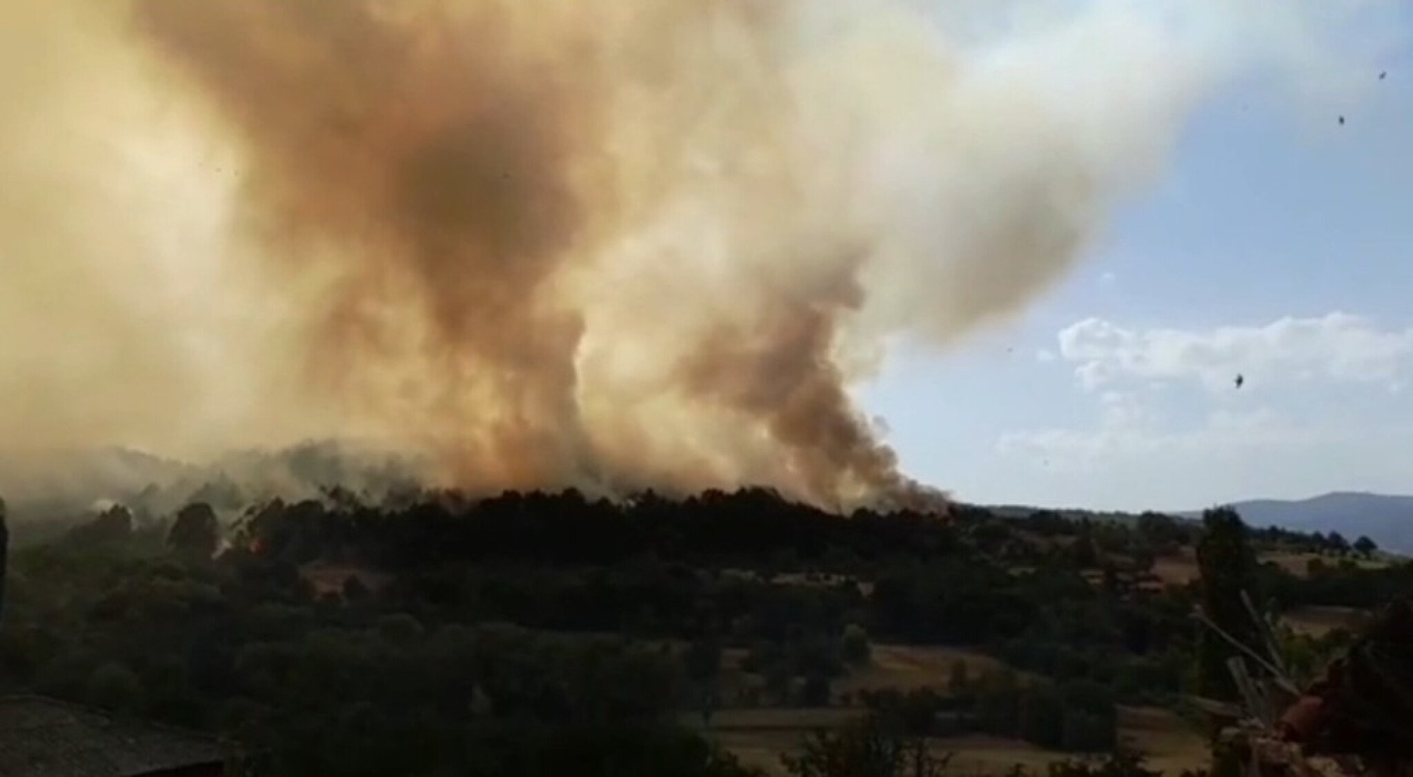 tnrqg43w80vaxu75uw2z