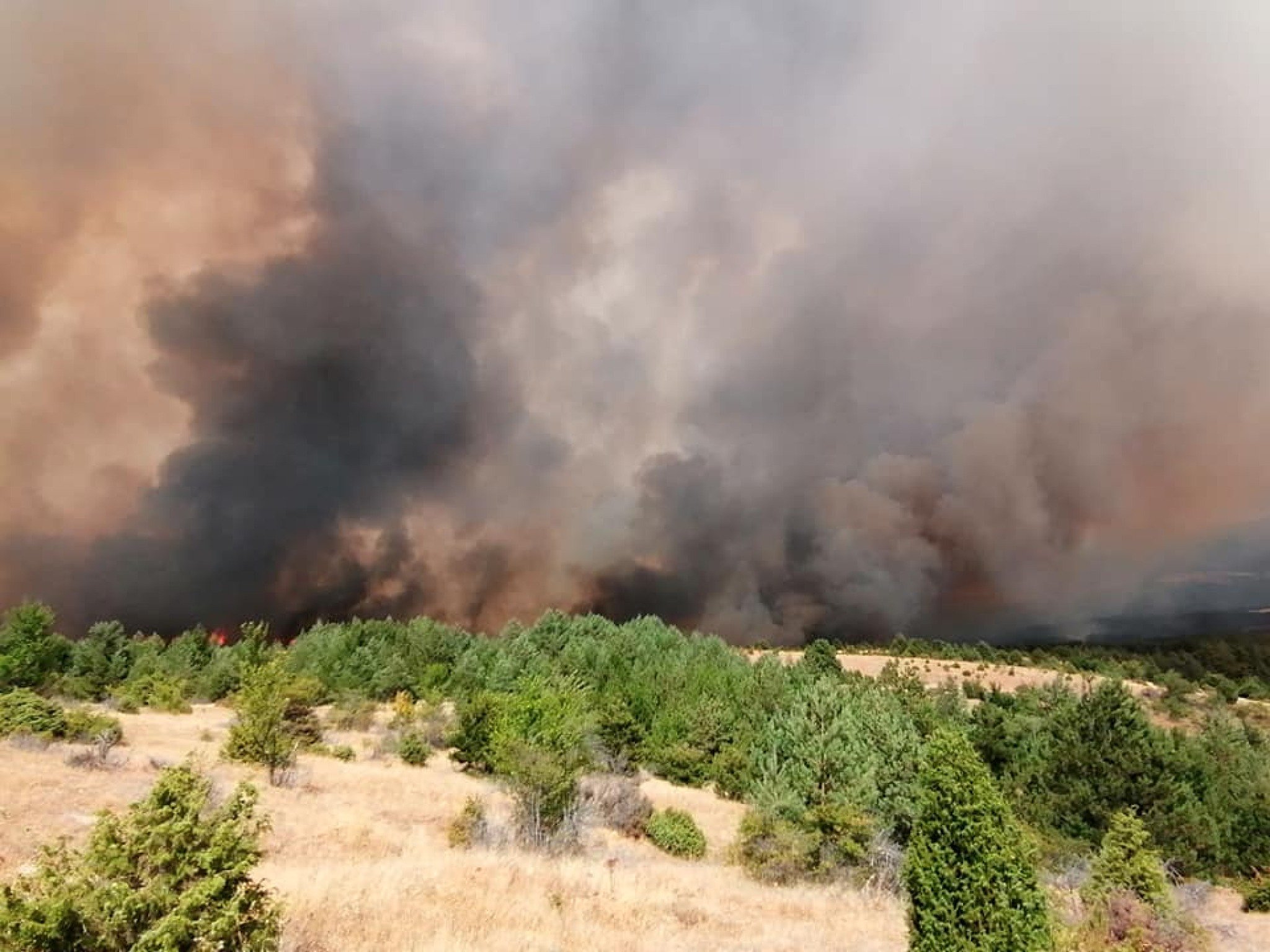 225615559_4234490113312677_6547578895995421885_n