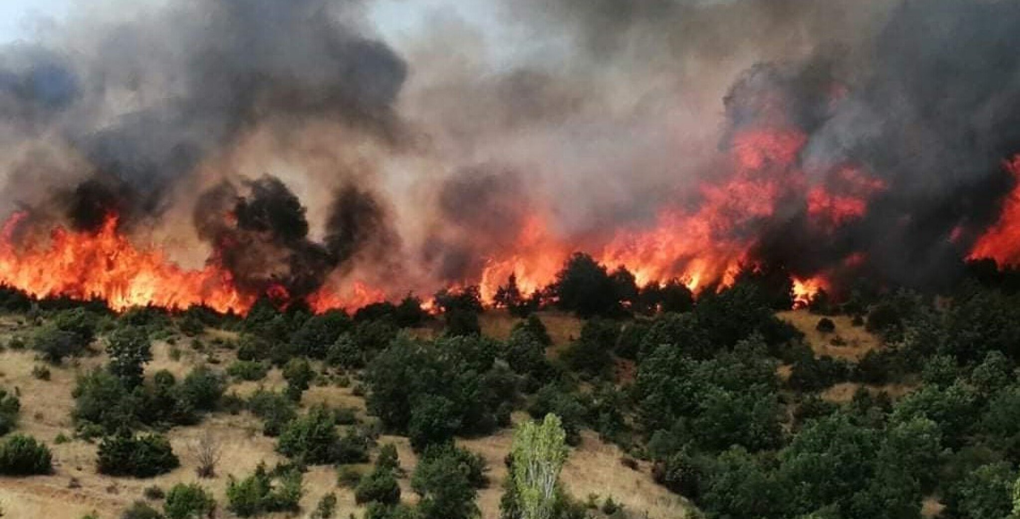 pozar-staro-negoricane-03.08.2021