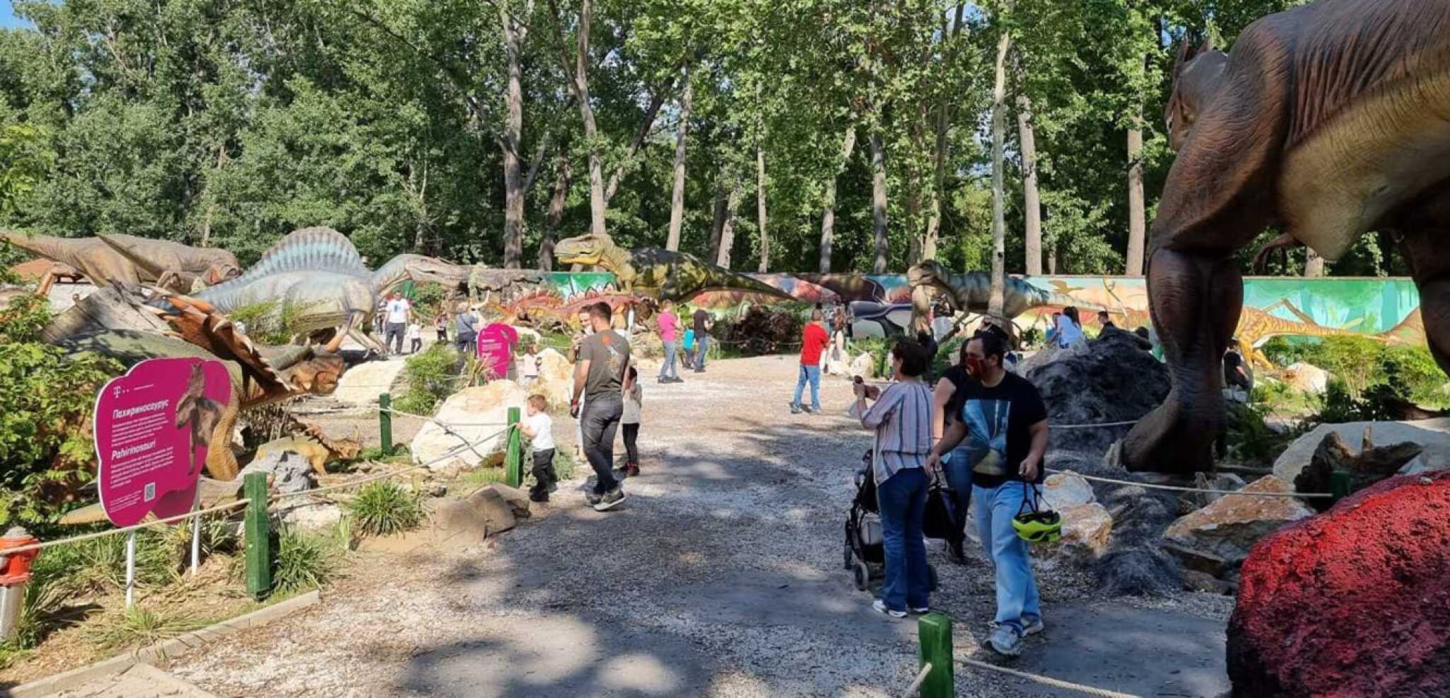 195482644_1931069890376931_7683544925335404828_n