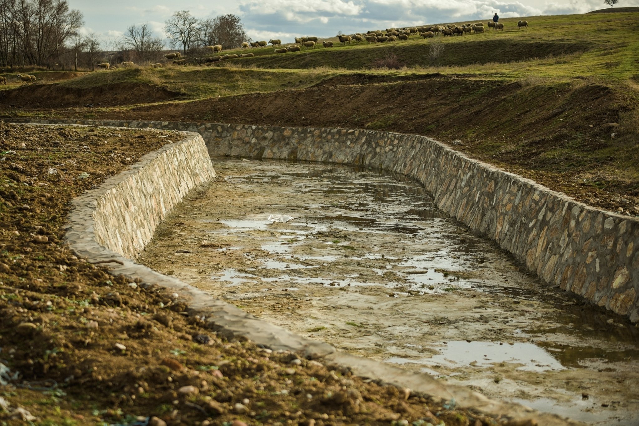 MLS-Germian-Novaci-Milevski-10-01-2021-2