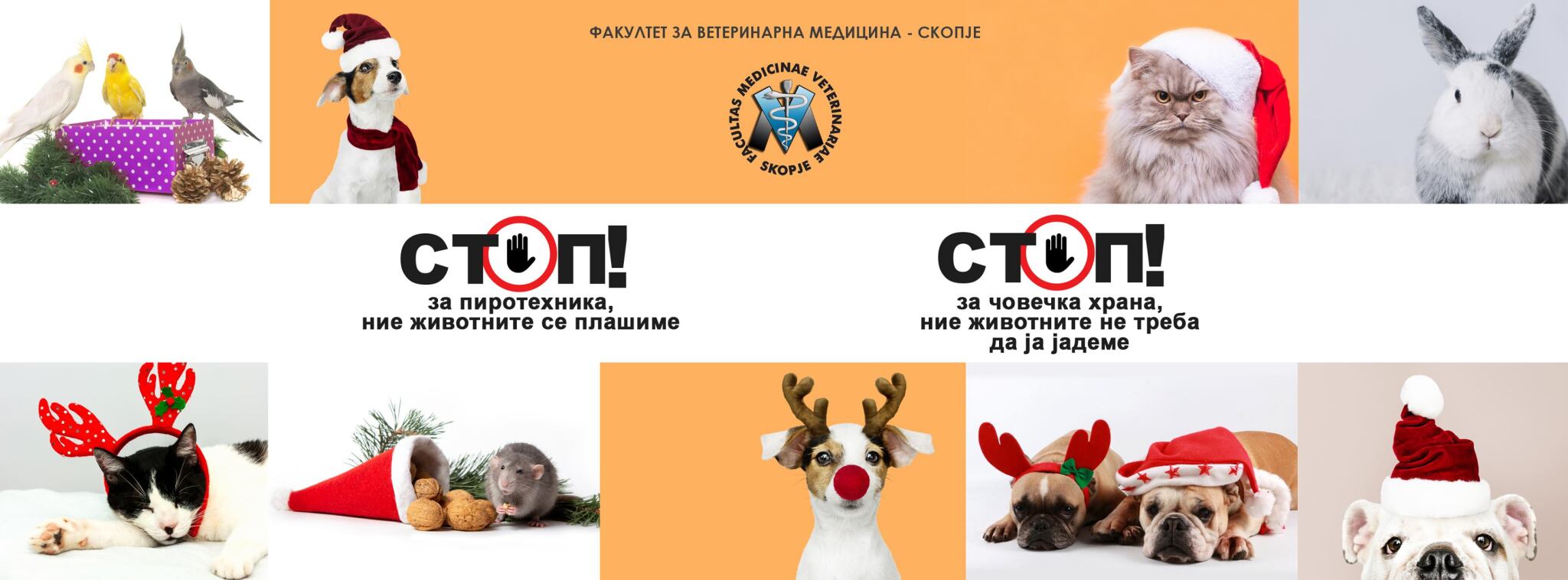 STOP-kampanja_FVMS-12-2020