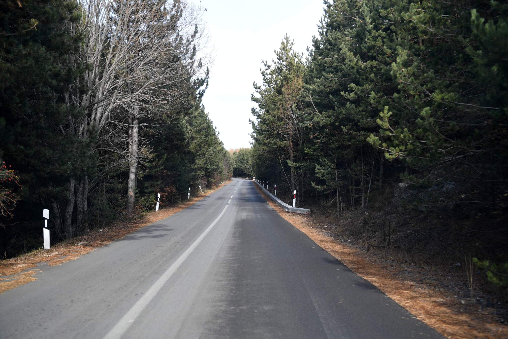 24122020_PVRSM-Zaev_pat_Kochani-Ponikva_5