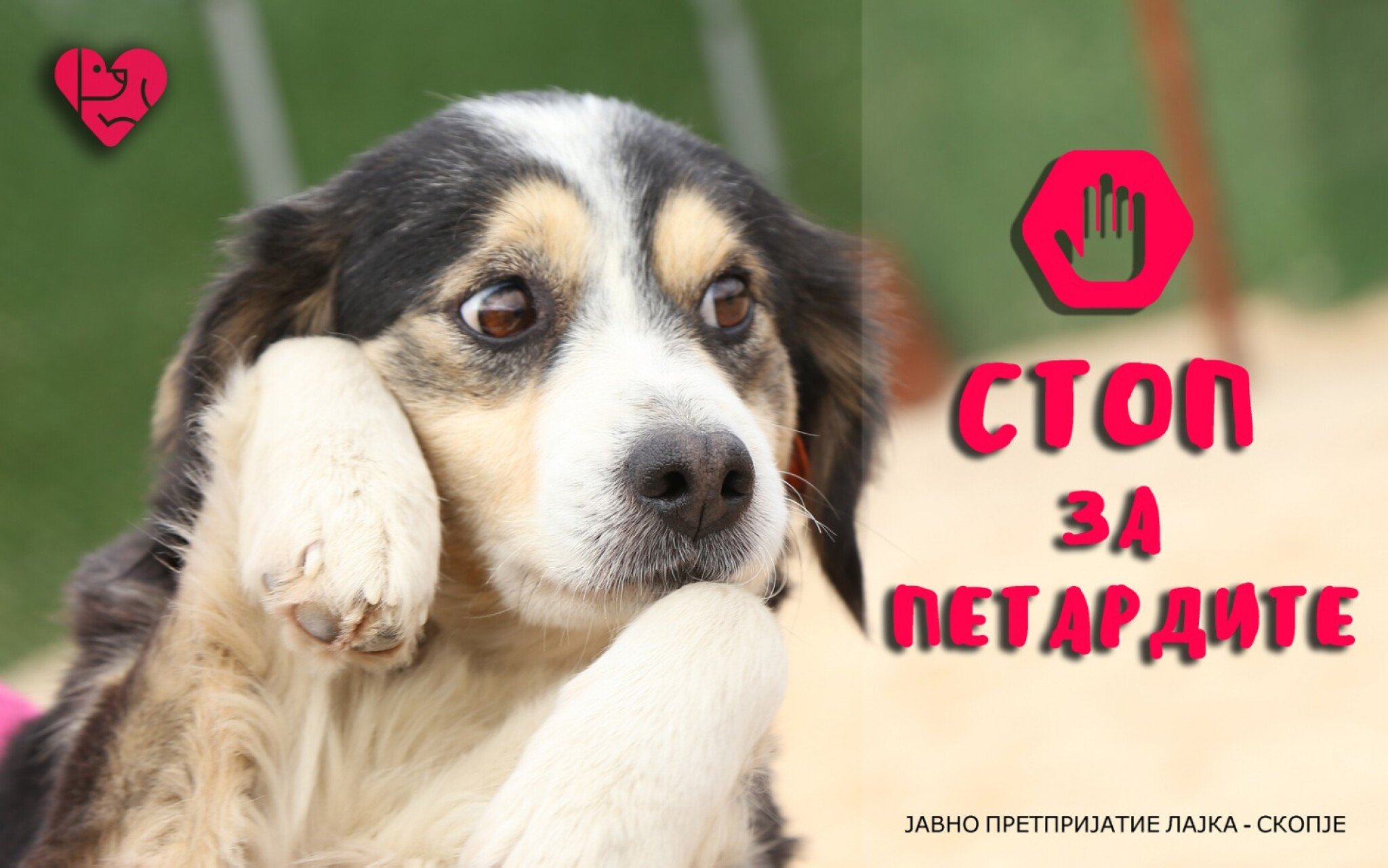 viber_image_2020-12-22_10-09-06