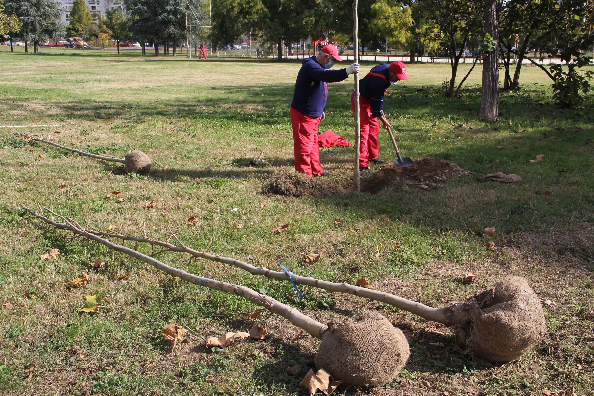 123018581_530568064492957_5199865320490618478_n