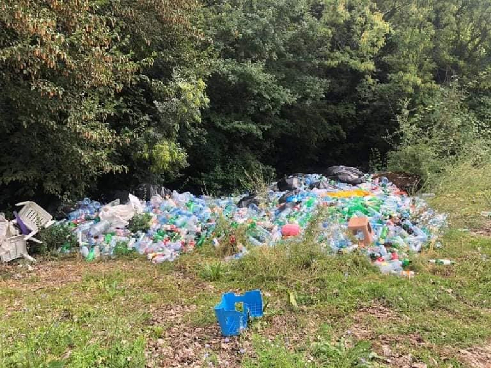 117293777_10158703204724726_4799295445897456949_n