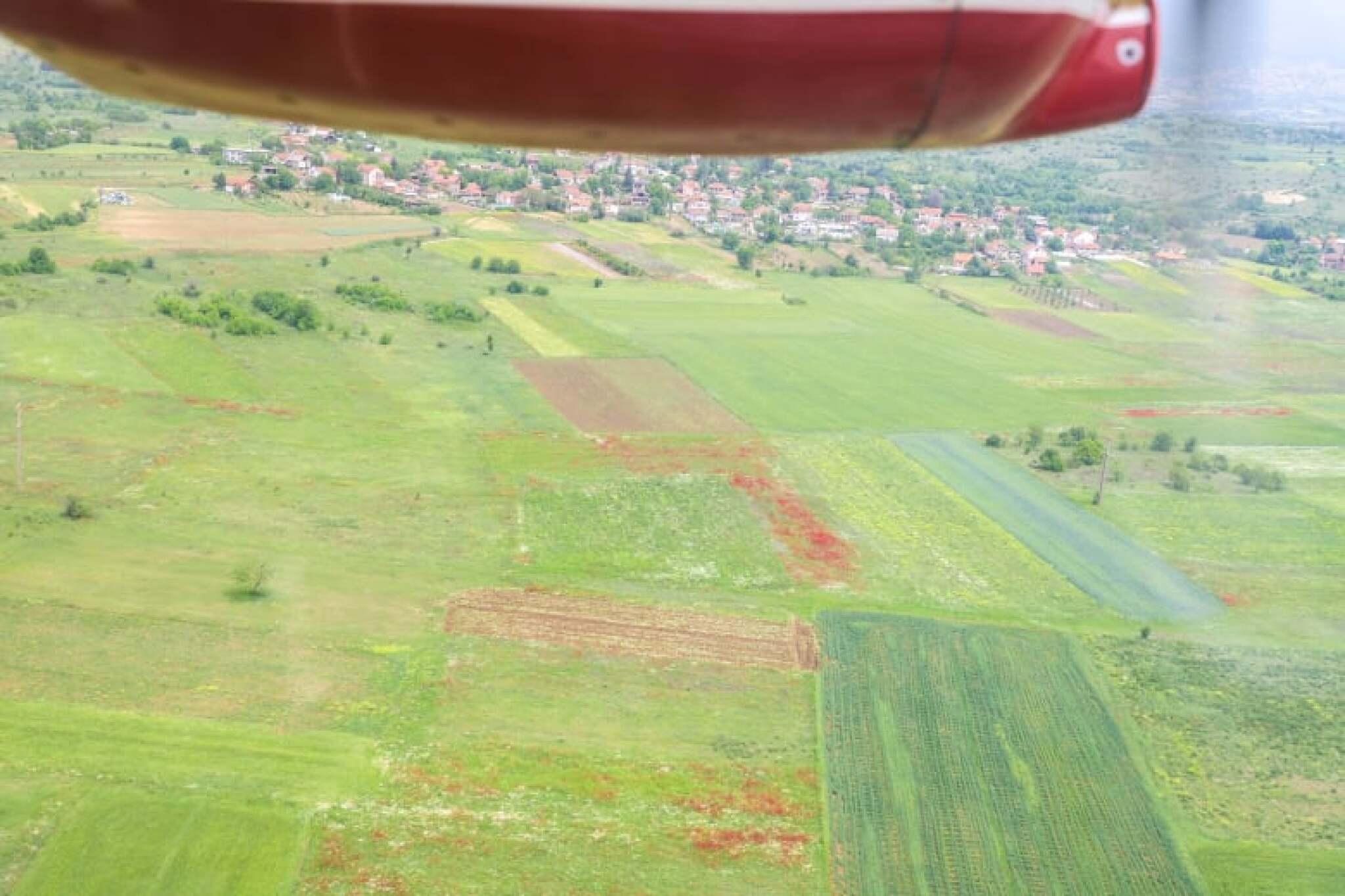 97642671_559376181651022_3625257220242931712_n