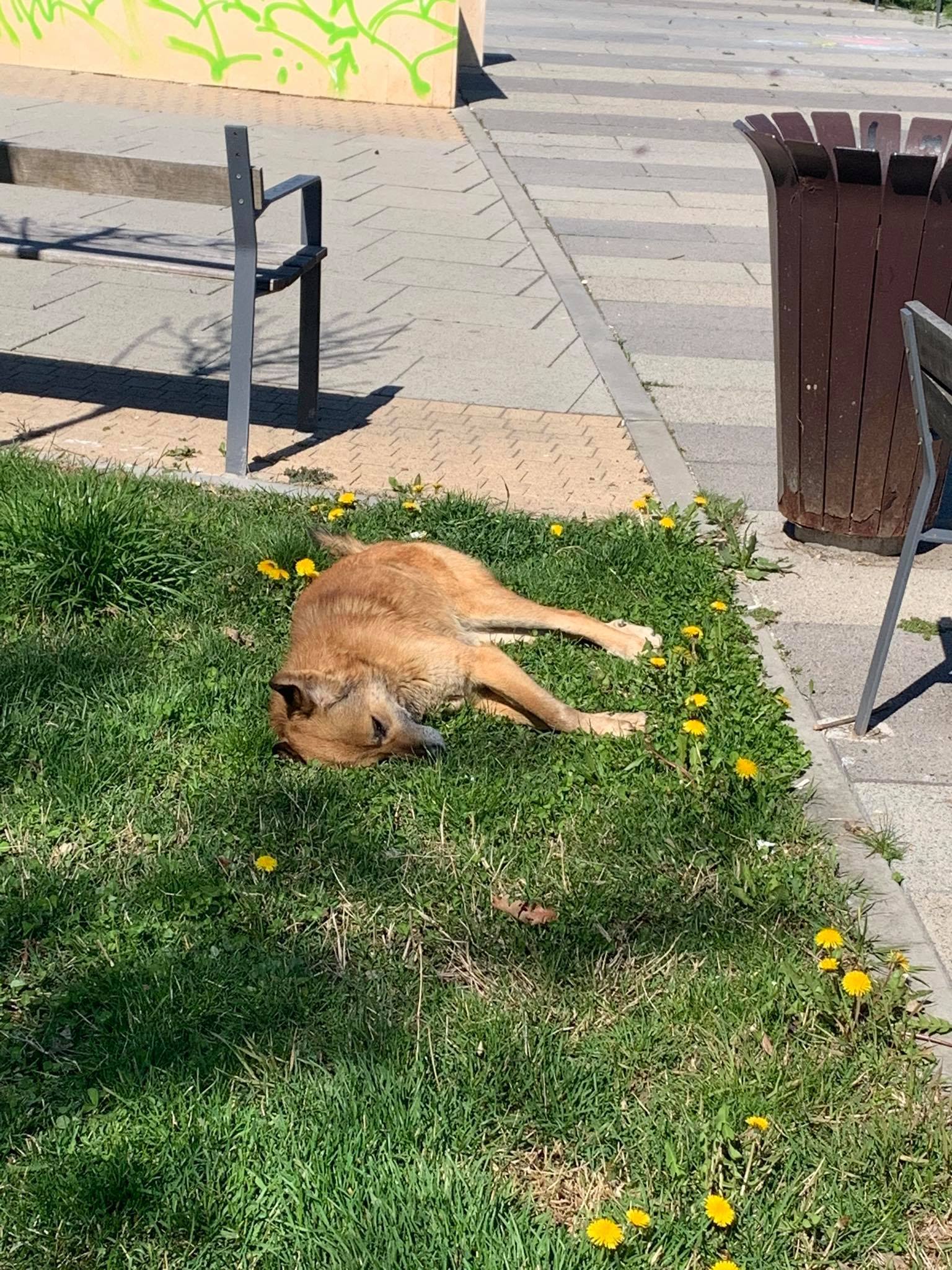 93010046_468300563897846_244562150868123648_n