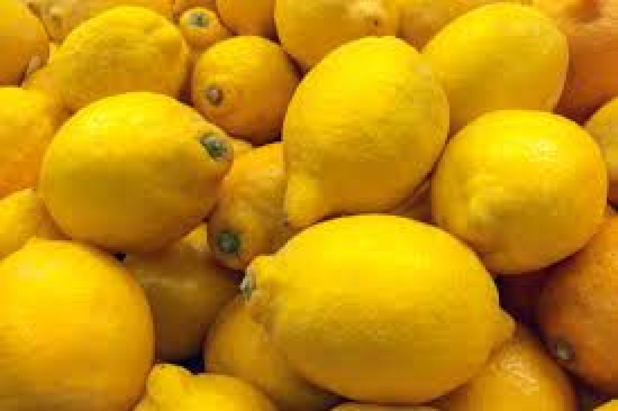 limon