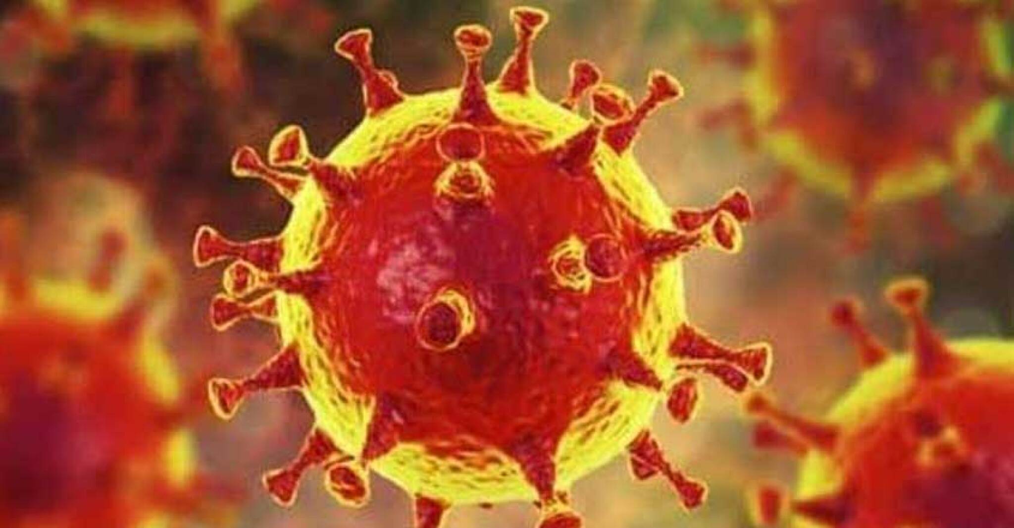 corona-virus-outbreak