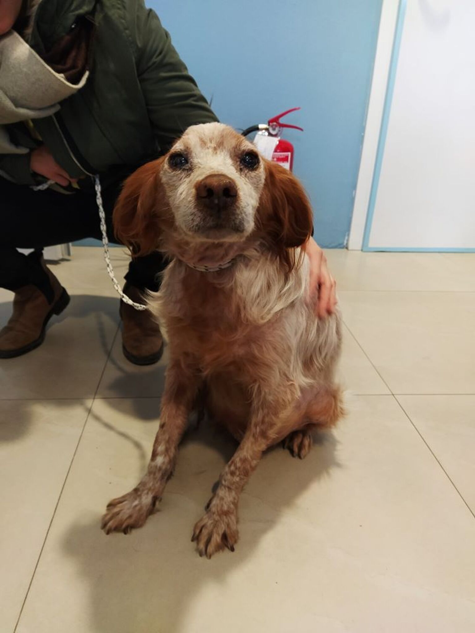 81675118_2284515081848639_4405514127791882240_o