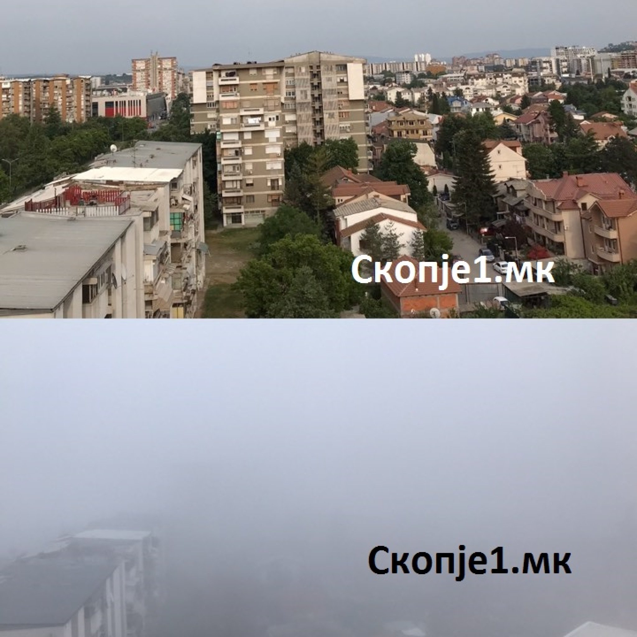 80442057_555757525006936_8739911474132025344_n