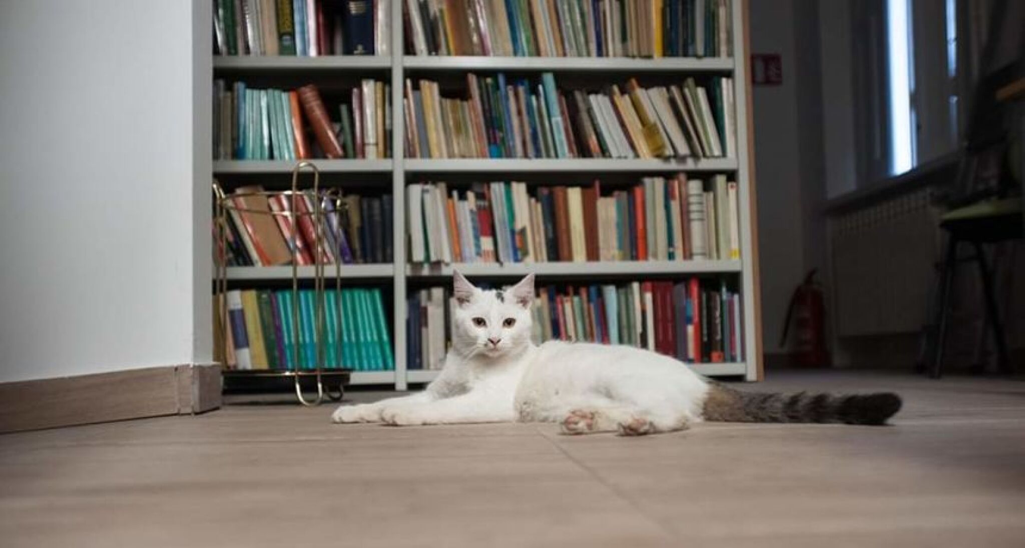 0A472B35-A370-4BC6-9446-C11E21A1E360