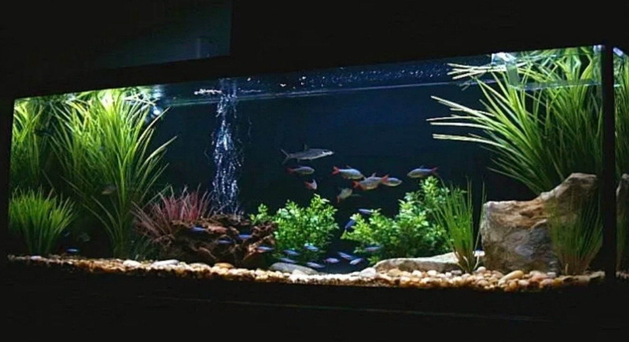 IMG-0ba1a63ce920eedcd7848d0f9aa32b8e-V