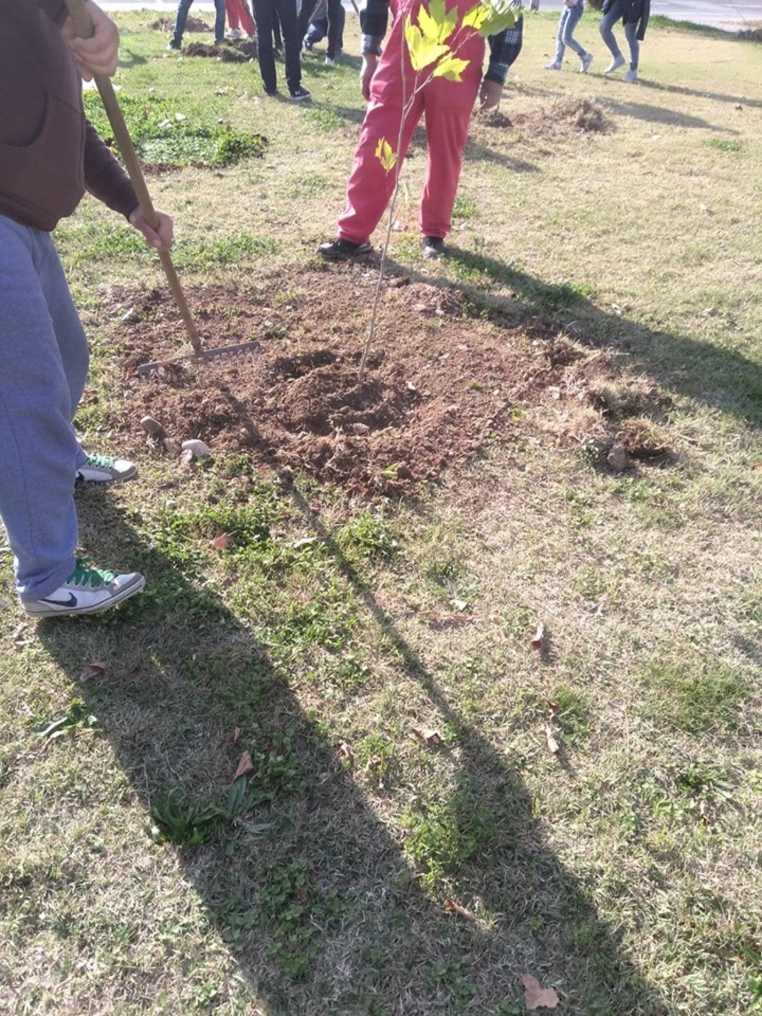 75398112_585386798864693_9172158958486421504_n