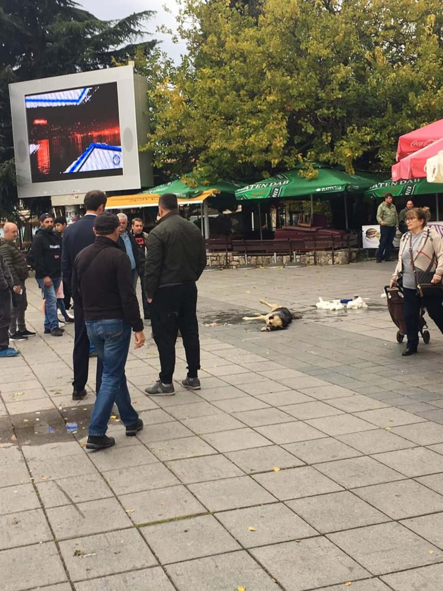 75241055_2362113344105076_2238740587664637952_n-1