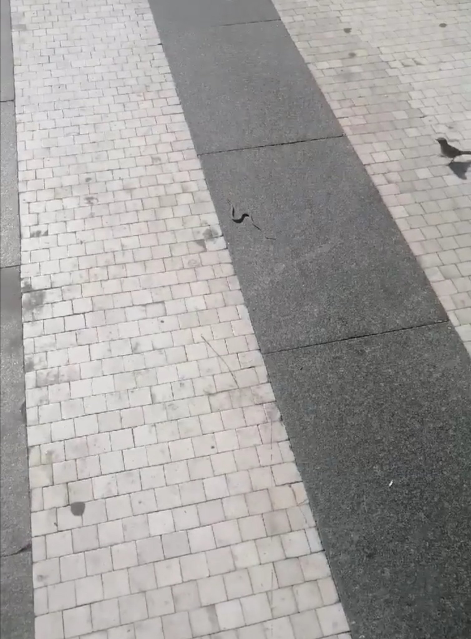 Screenshot_20191016_151356