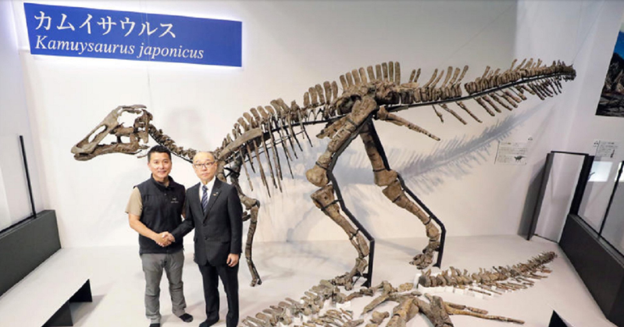 japonija-otkrien-nov-dinosaurus