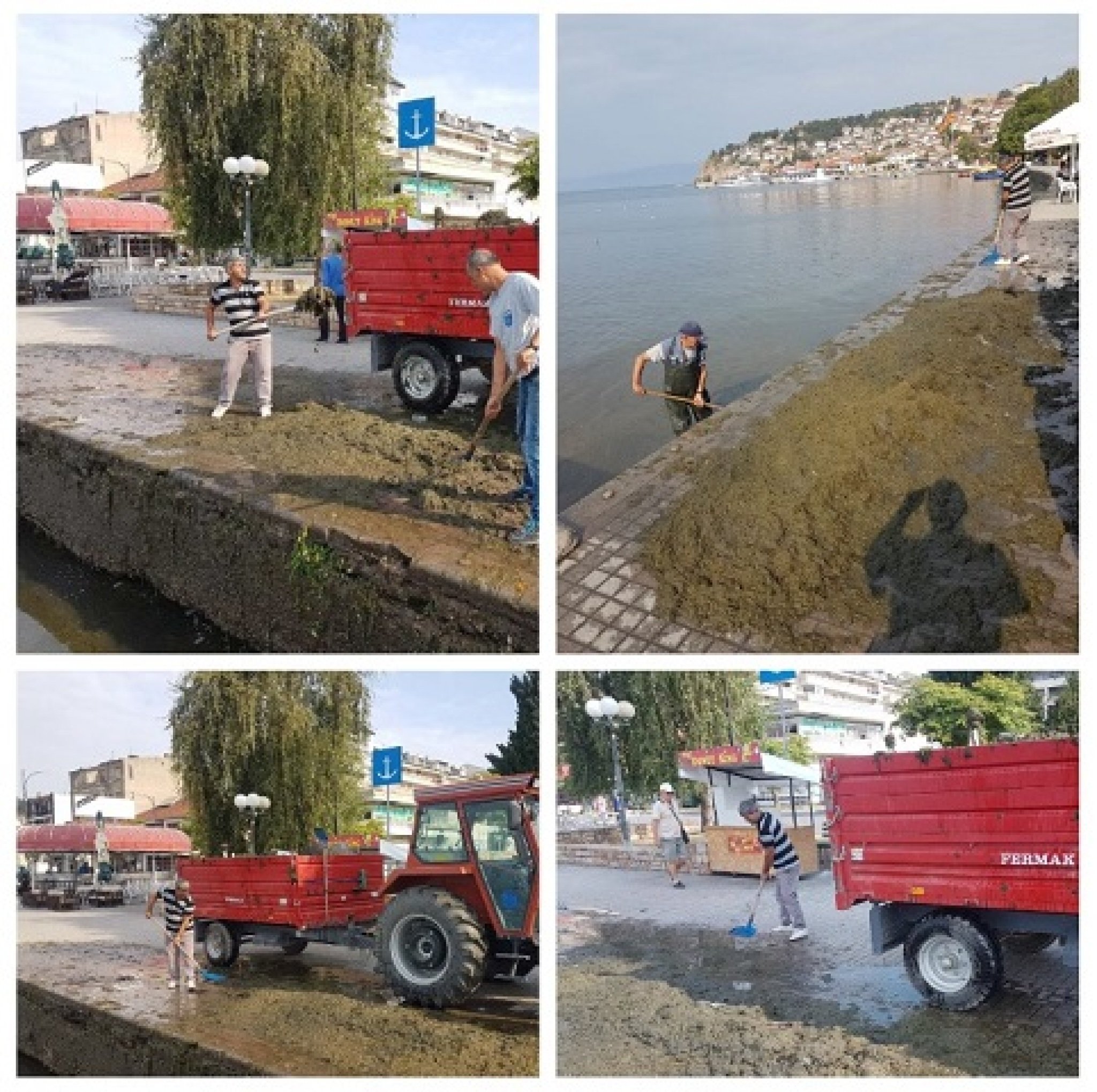 sliki-za-objava-482x480-05.09.2019