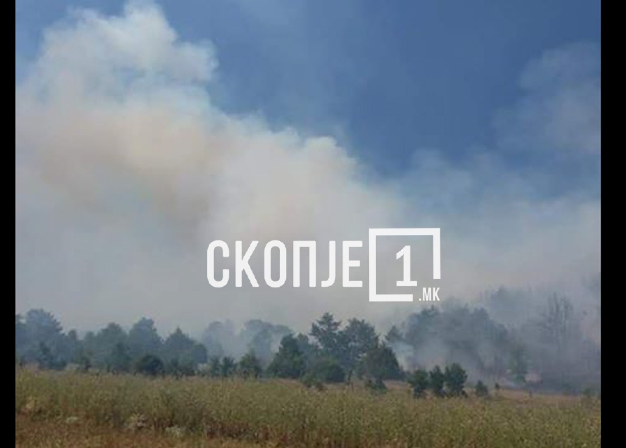 izjava-zaev.Still220