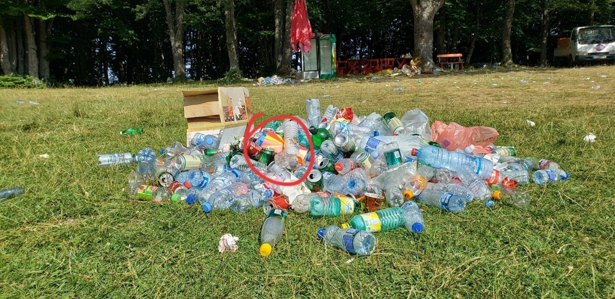 A2E03BF2-EBE1-4DD7-BC67-D9EE1F2D3463