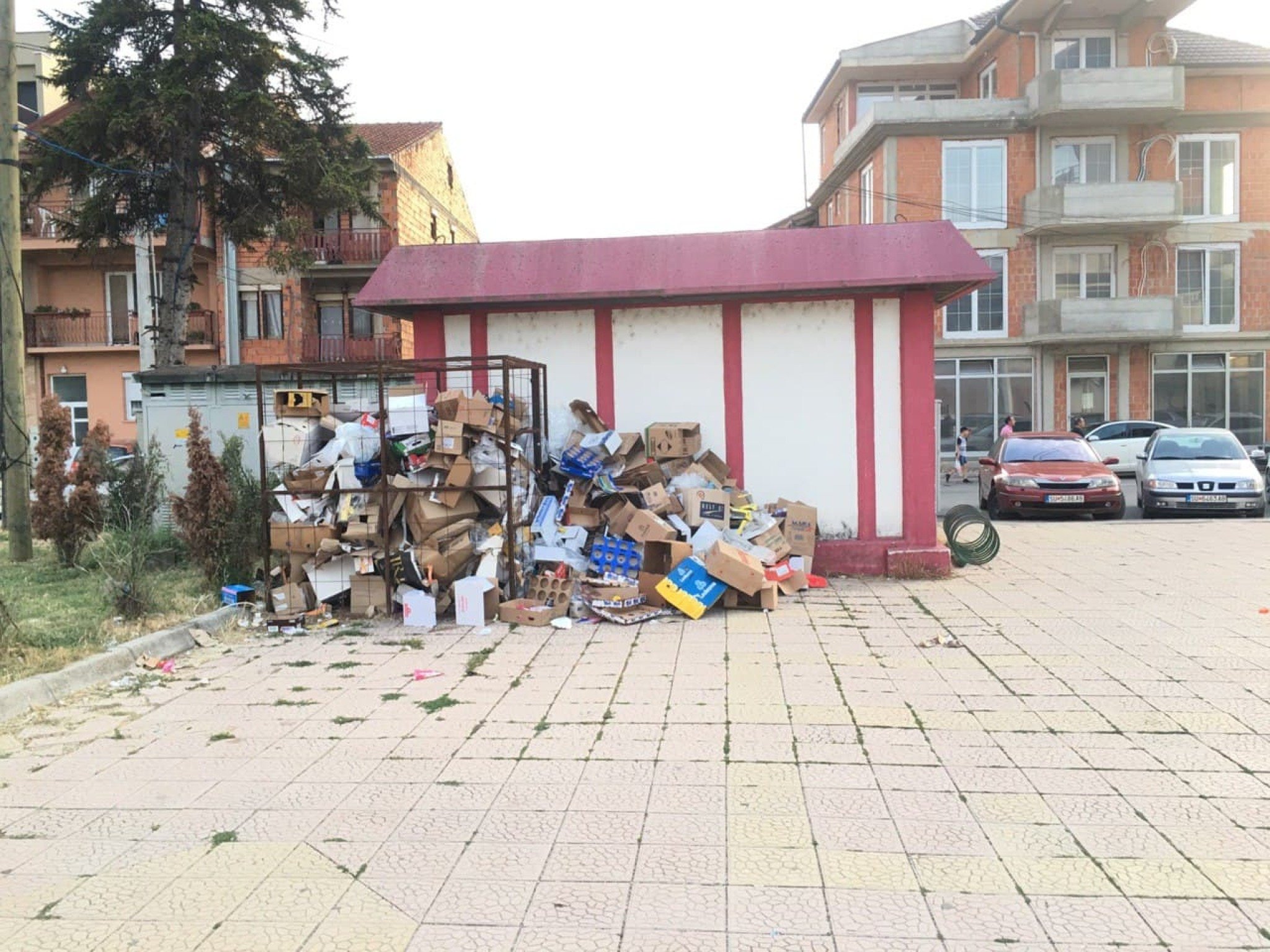 67408027_378879976104220_5686944575768231936_n