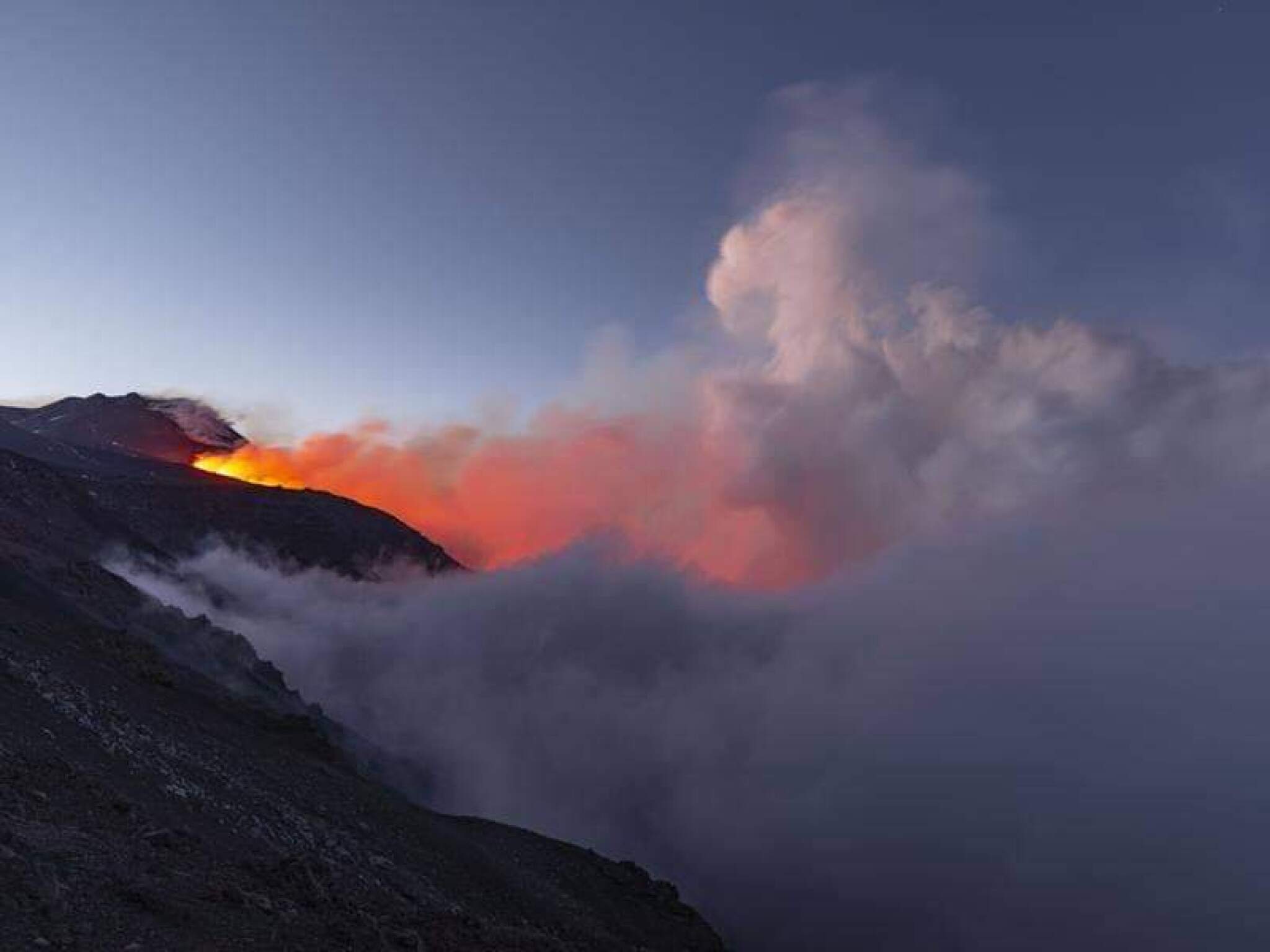 received_382519142407472