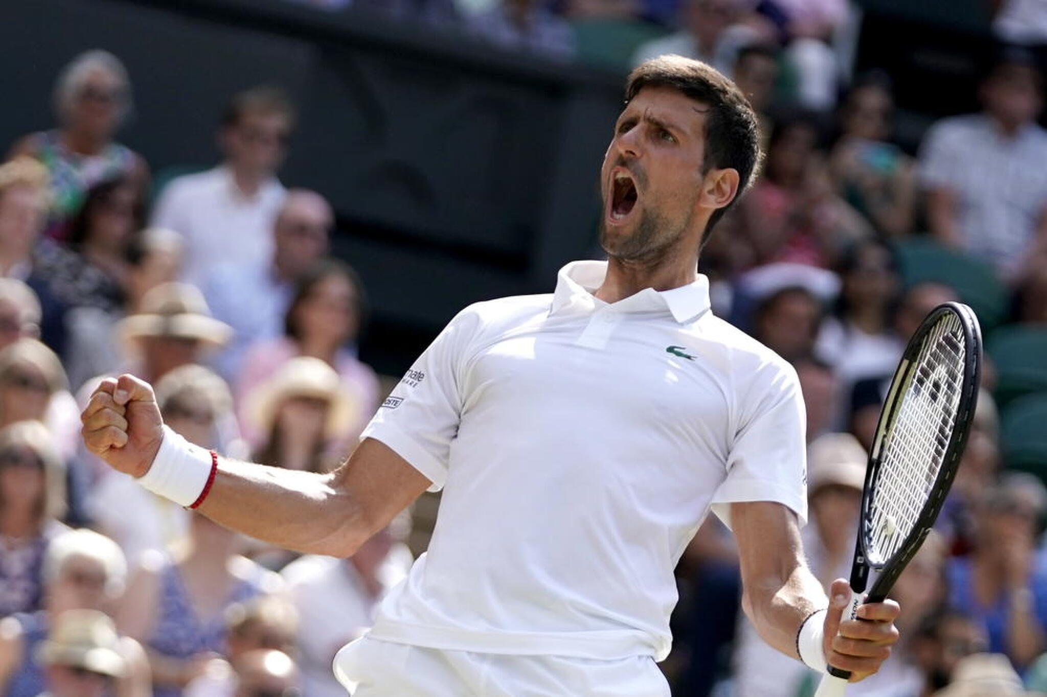 3169B869-27C3-4D25-8F61-35690402F511