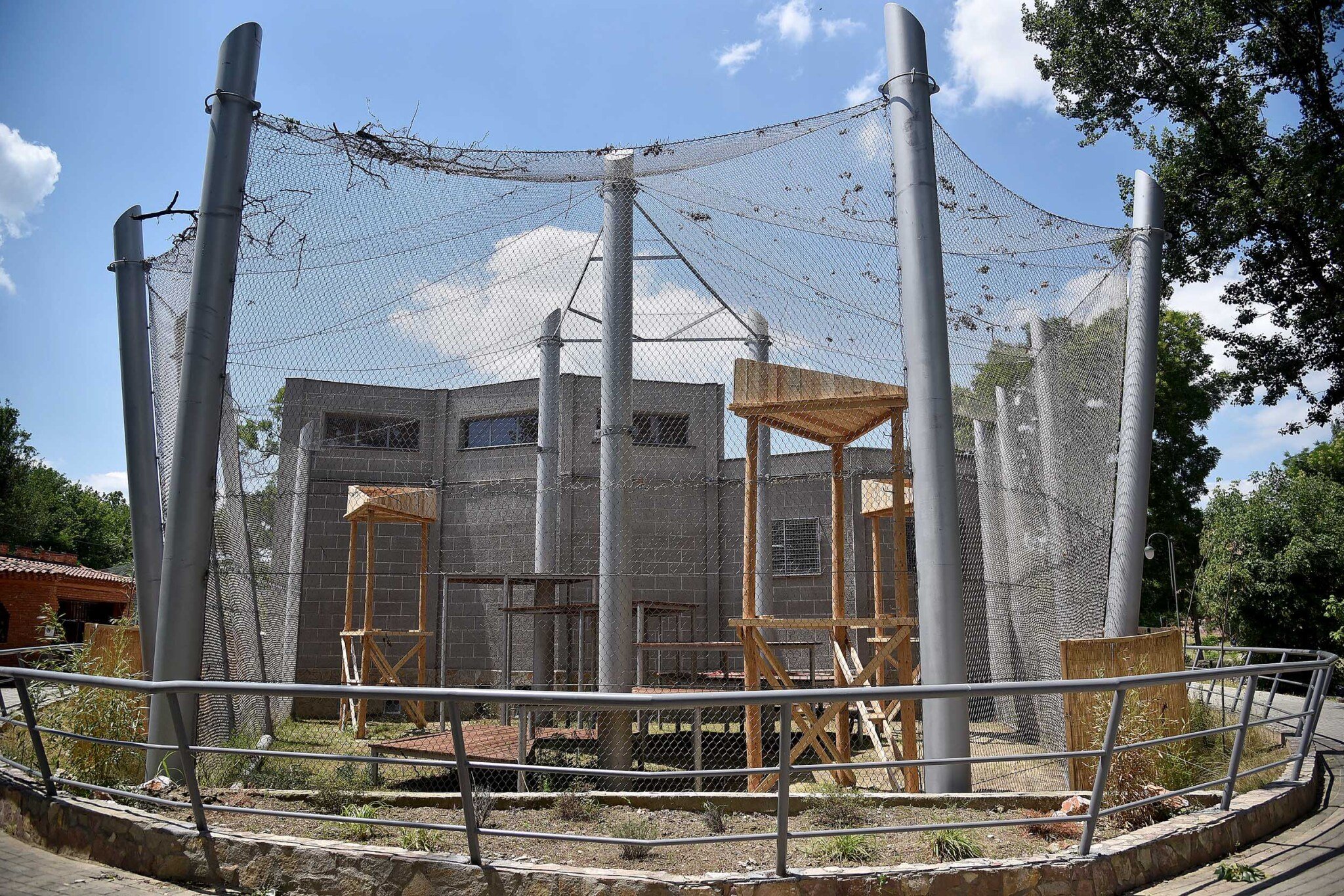 Koko-se-vrati-doma-5