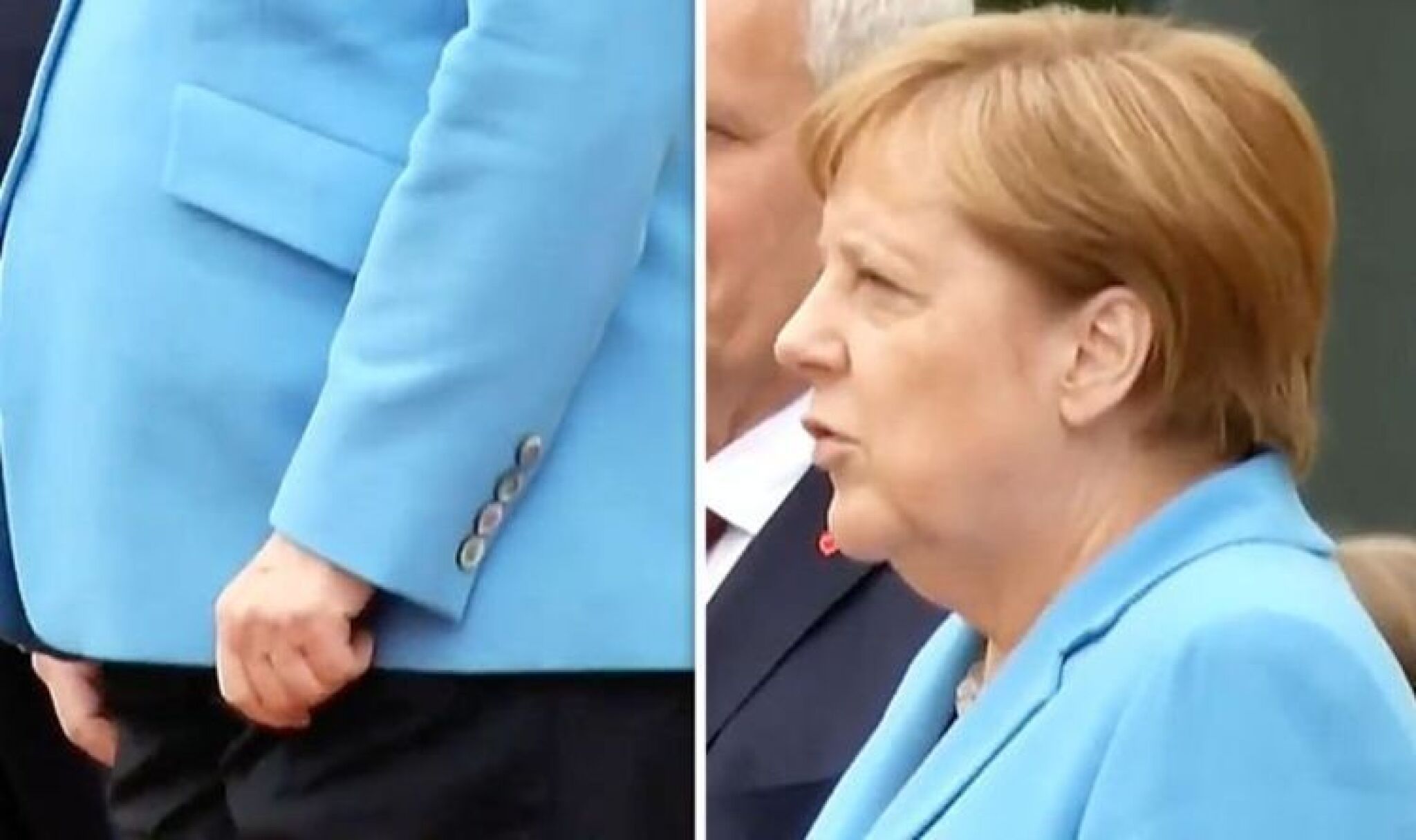 merkel
