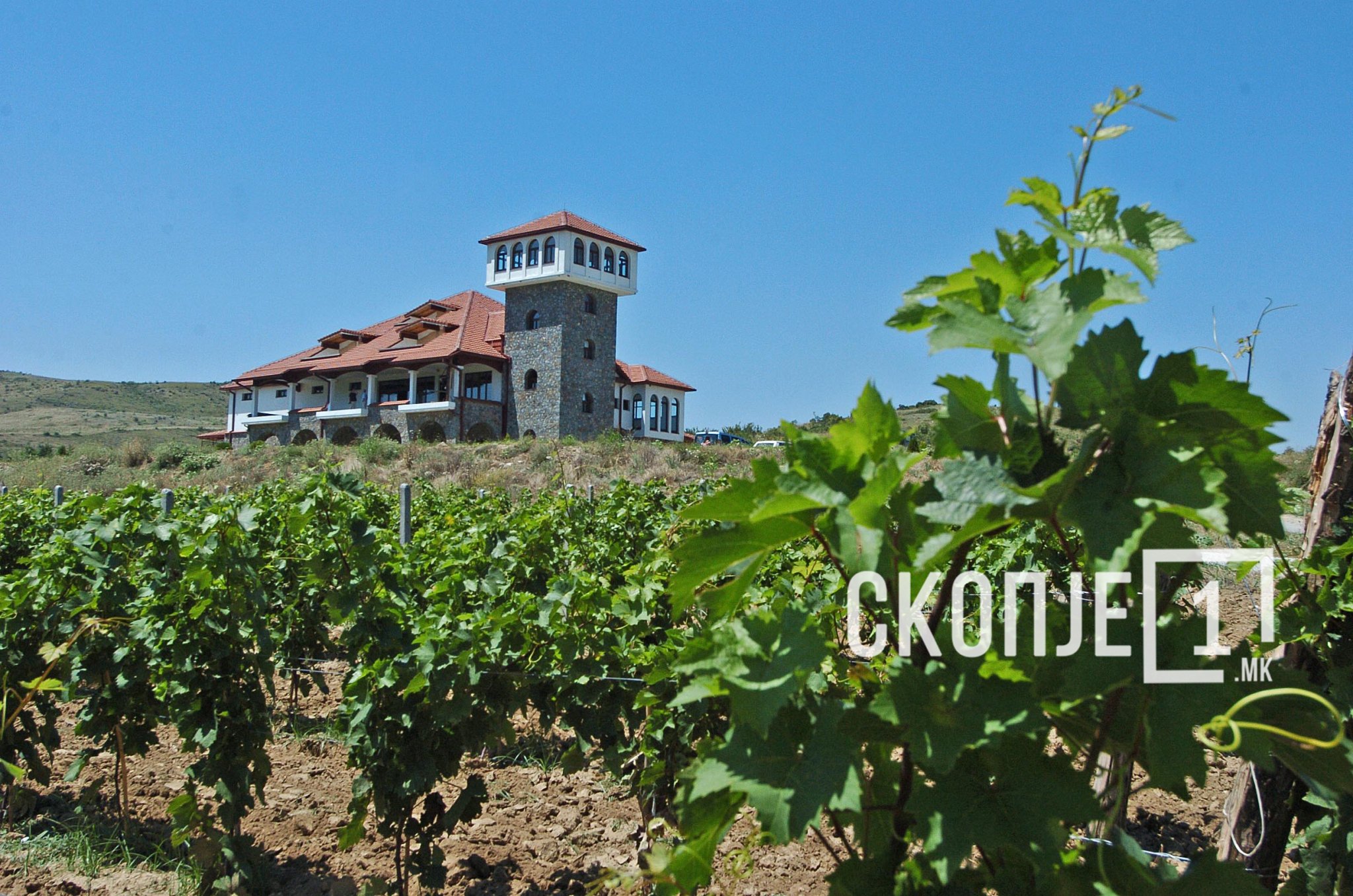 lozje-niva-zemjodelie