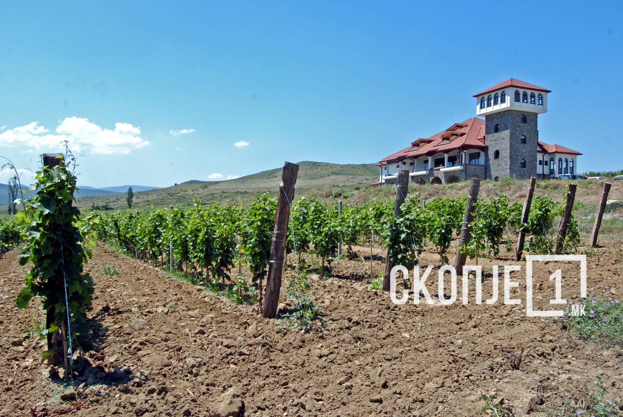 lozje-niva-zeljodelie