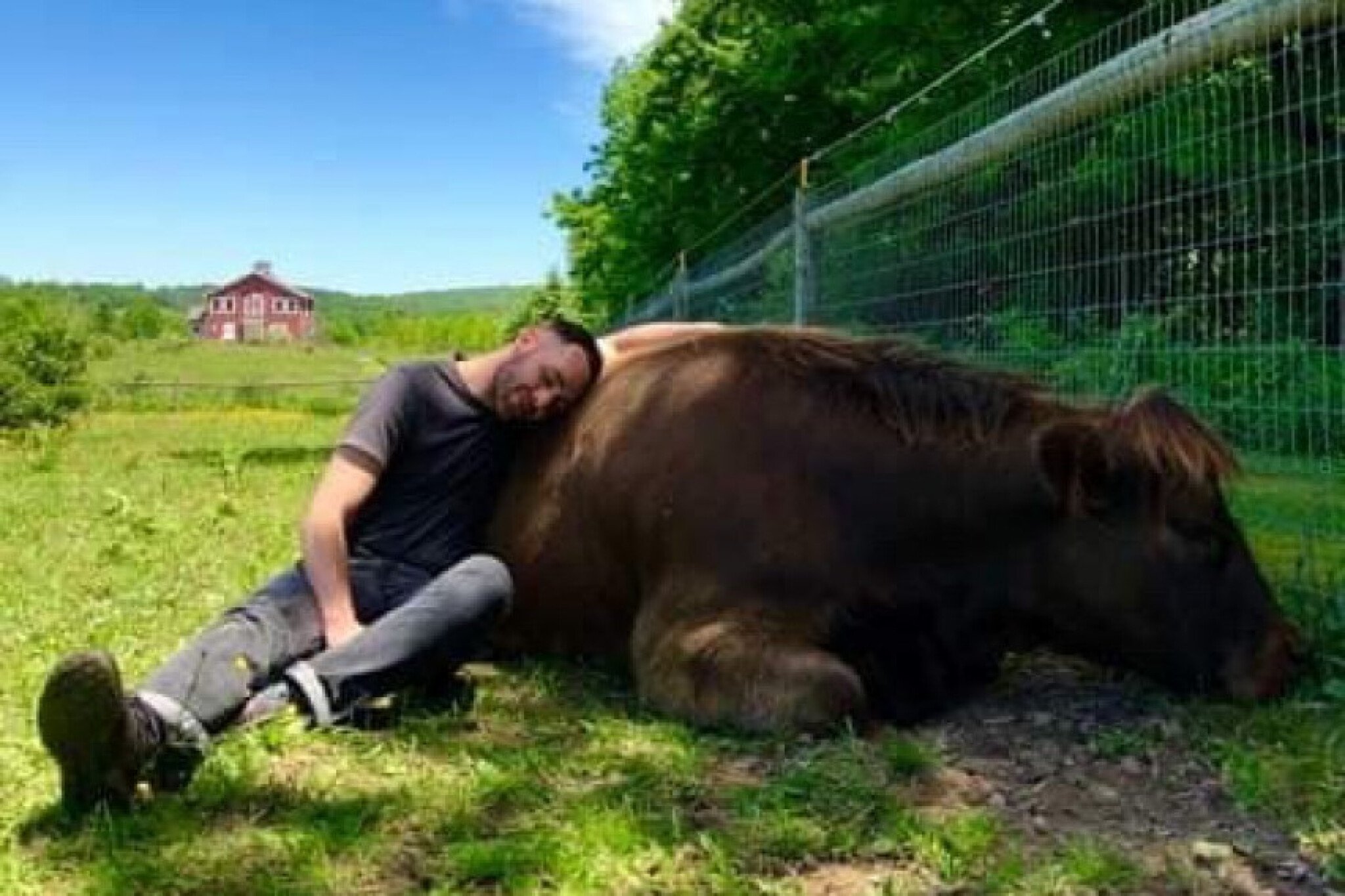 6oM4f-62023476-2397912230230539-6589605216574767104-n