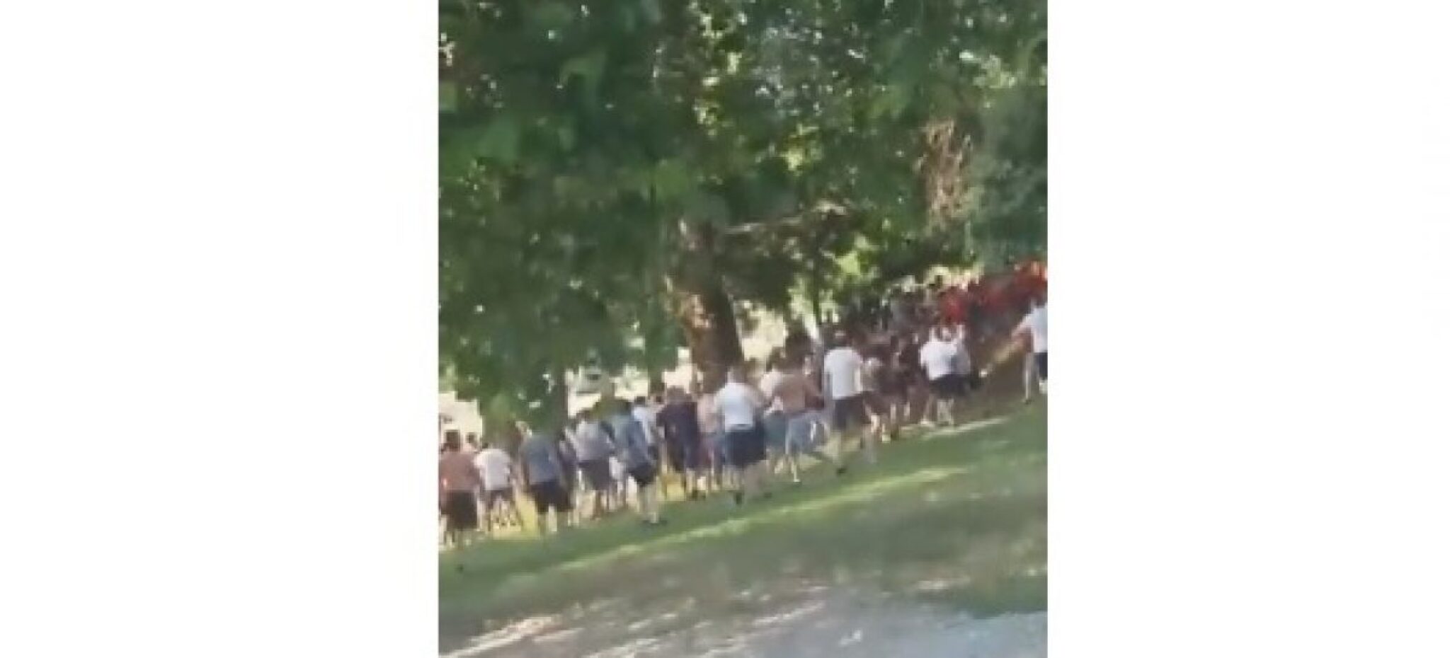 navivaczi-1200x545_c