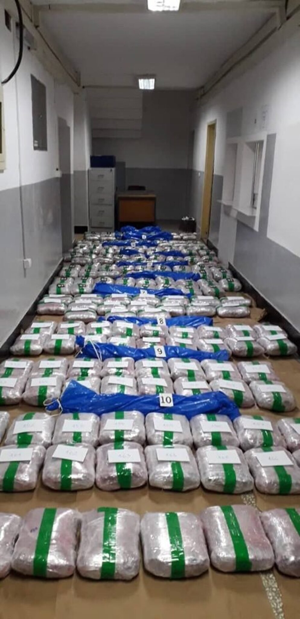 61446388_1065610993622530_4364308855799152640_n