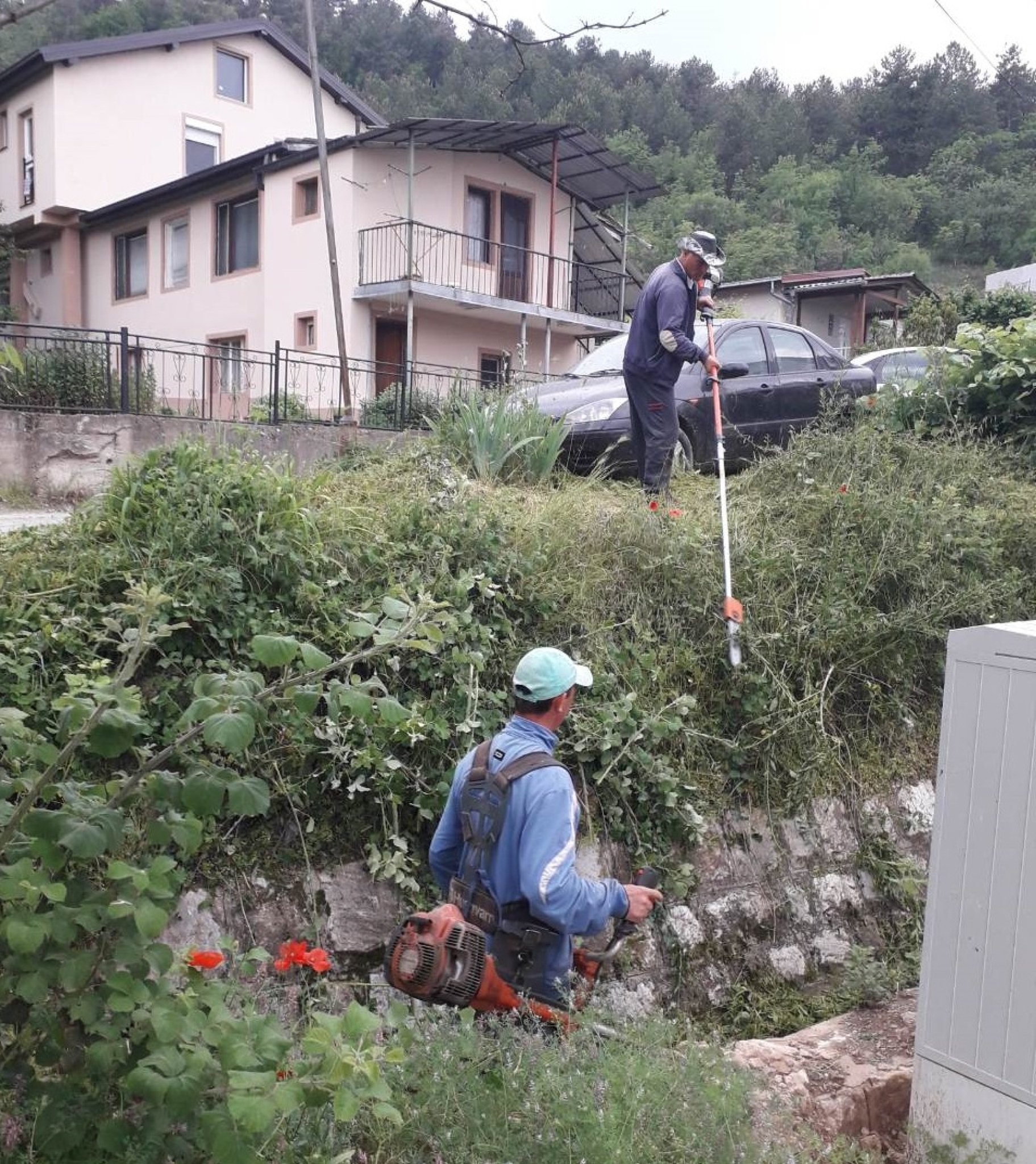 IMG-0ba7cc00d2f2765547bec852863d18e0-V