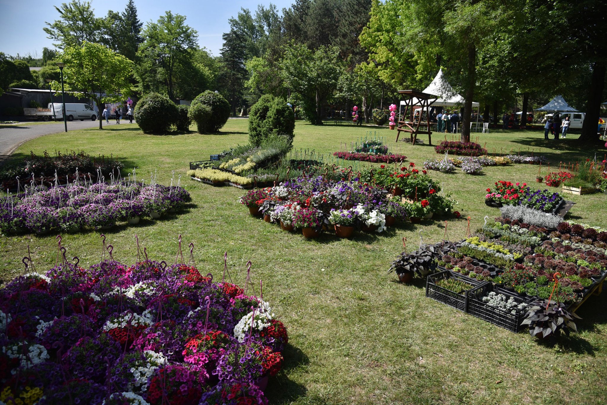 Cveten-festival-2019-otvoranje-7