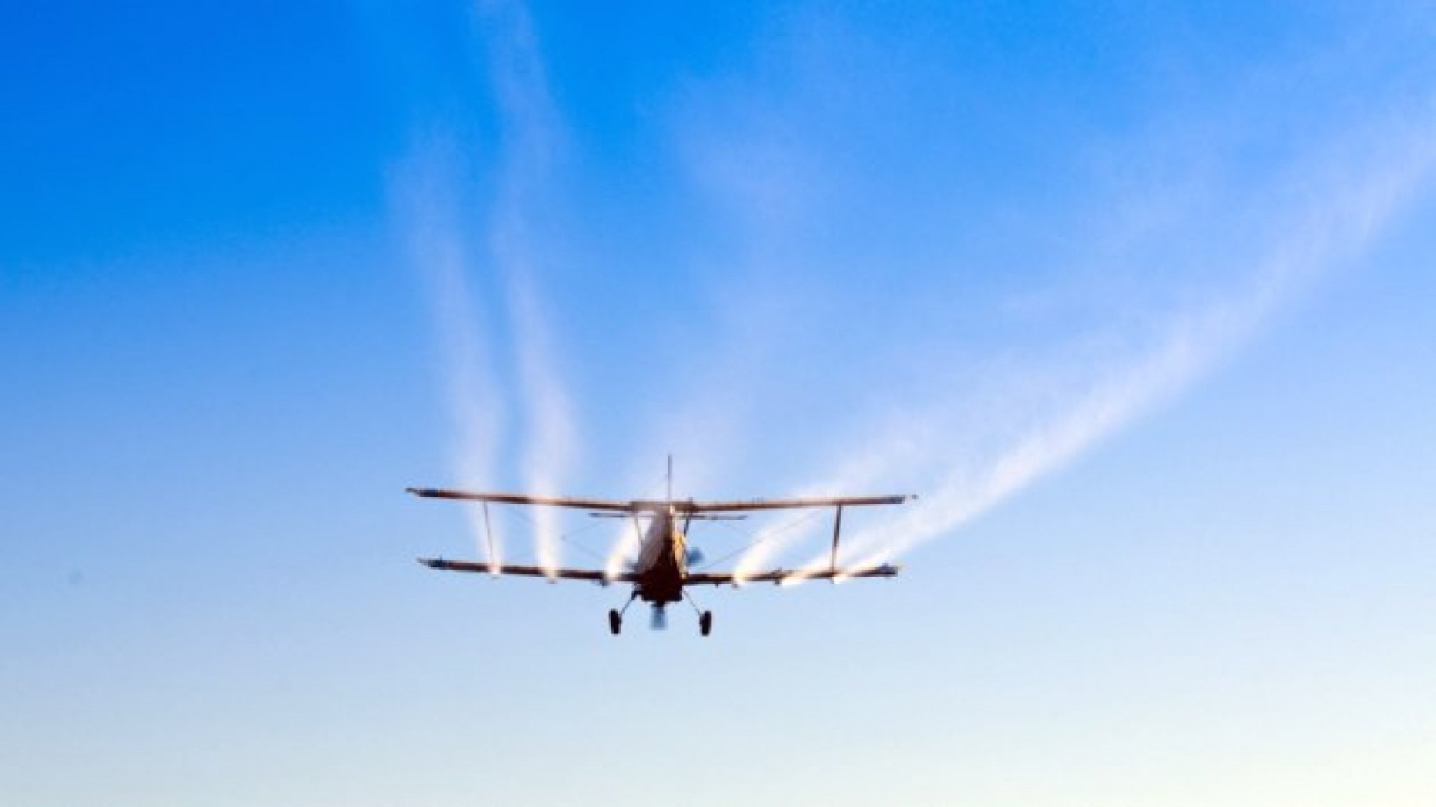 369514-vo-sreda-kje-se-prska-protiv-komarci-129781