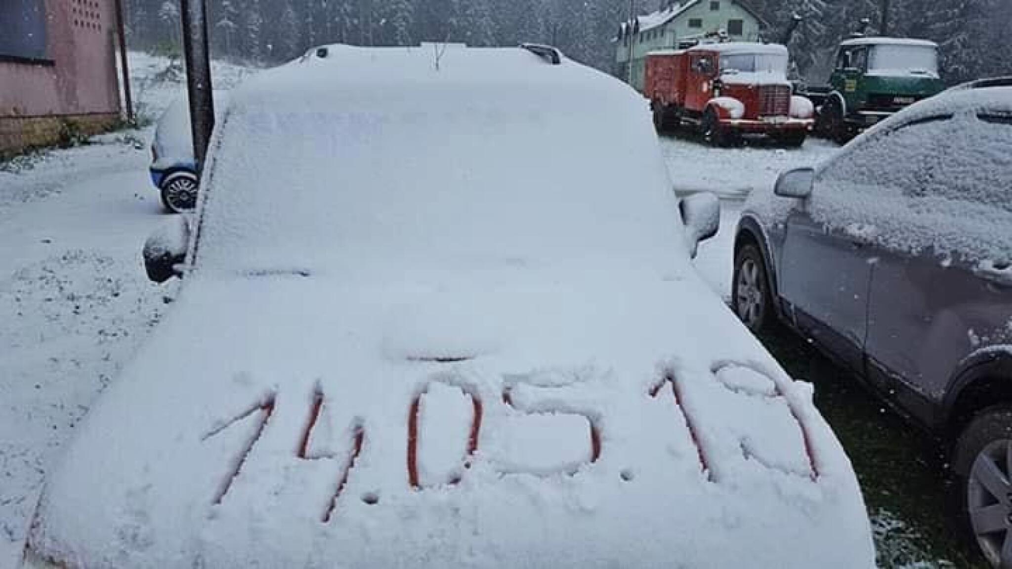 60281907_868905560113991_5267032752884023296_n