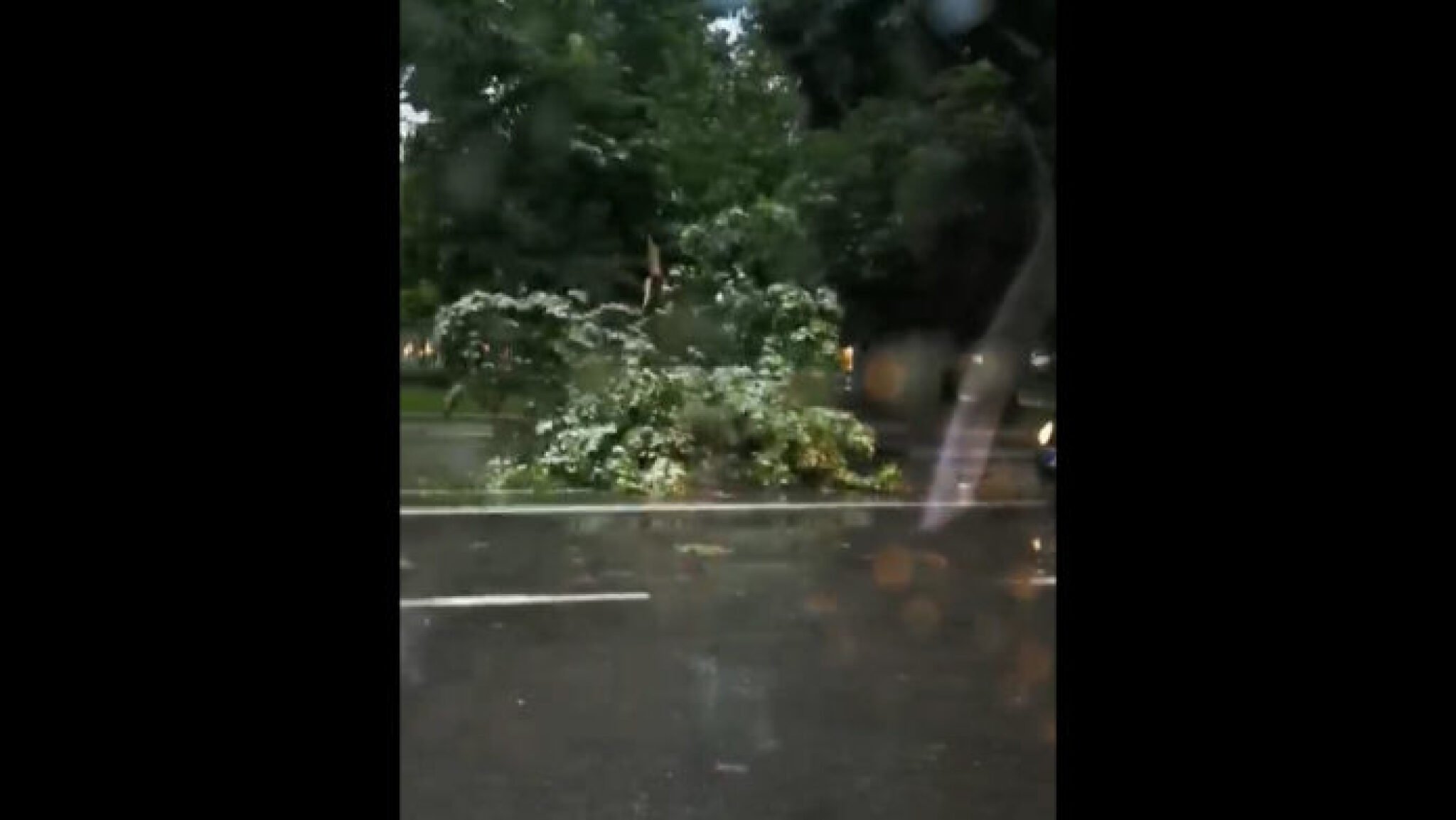 Sequence-05.Still002-696x392