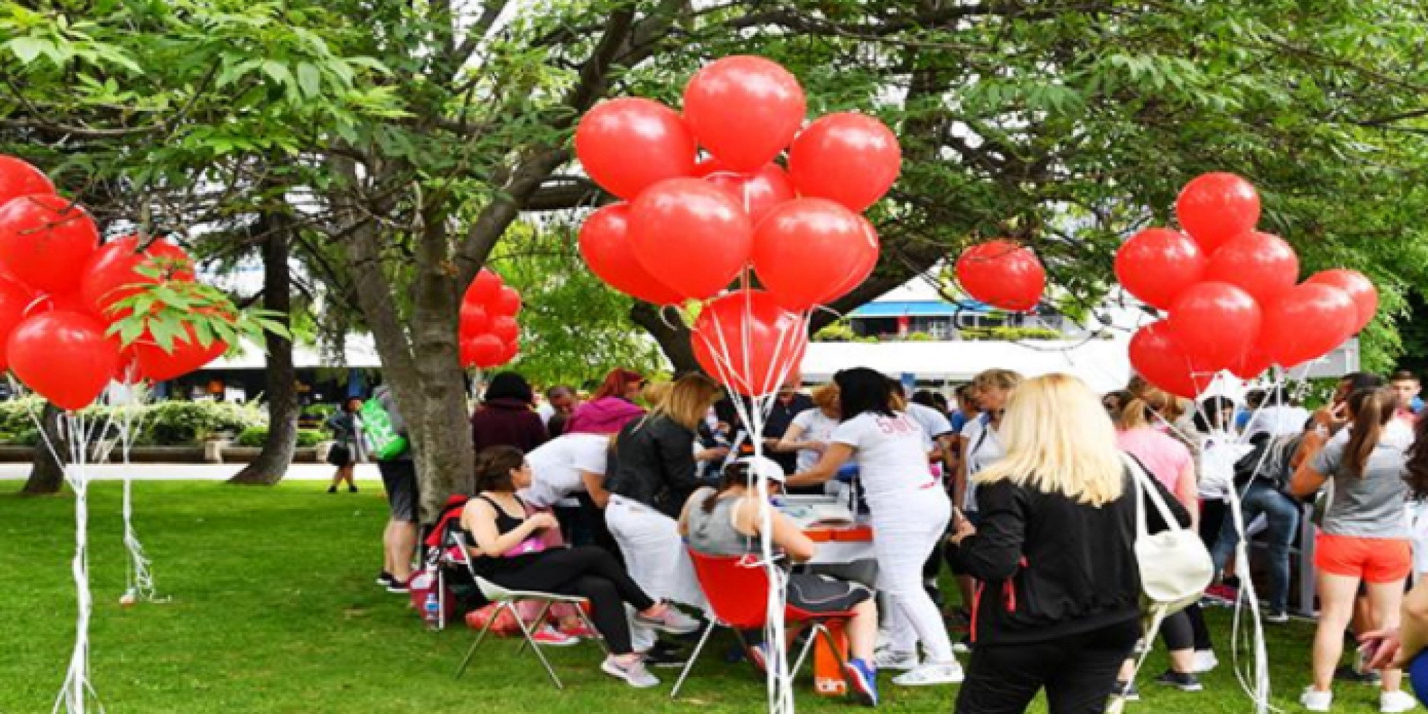 sajt-koskena-srcevina-696x348