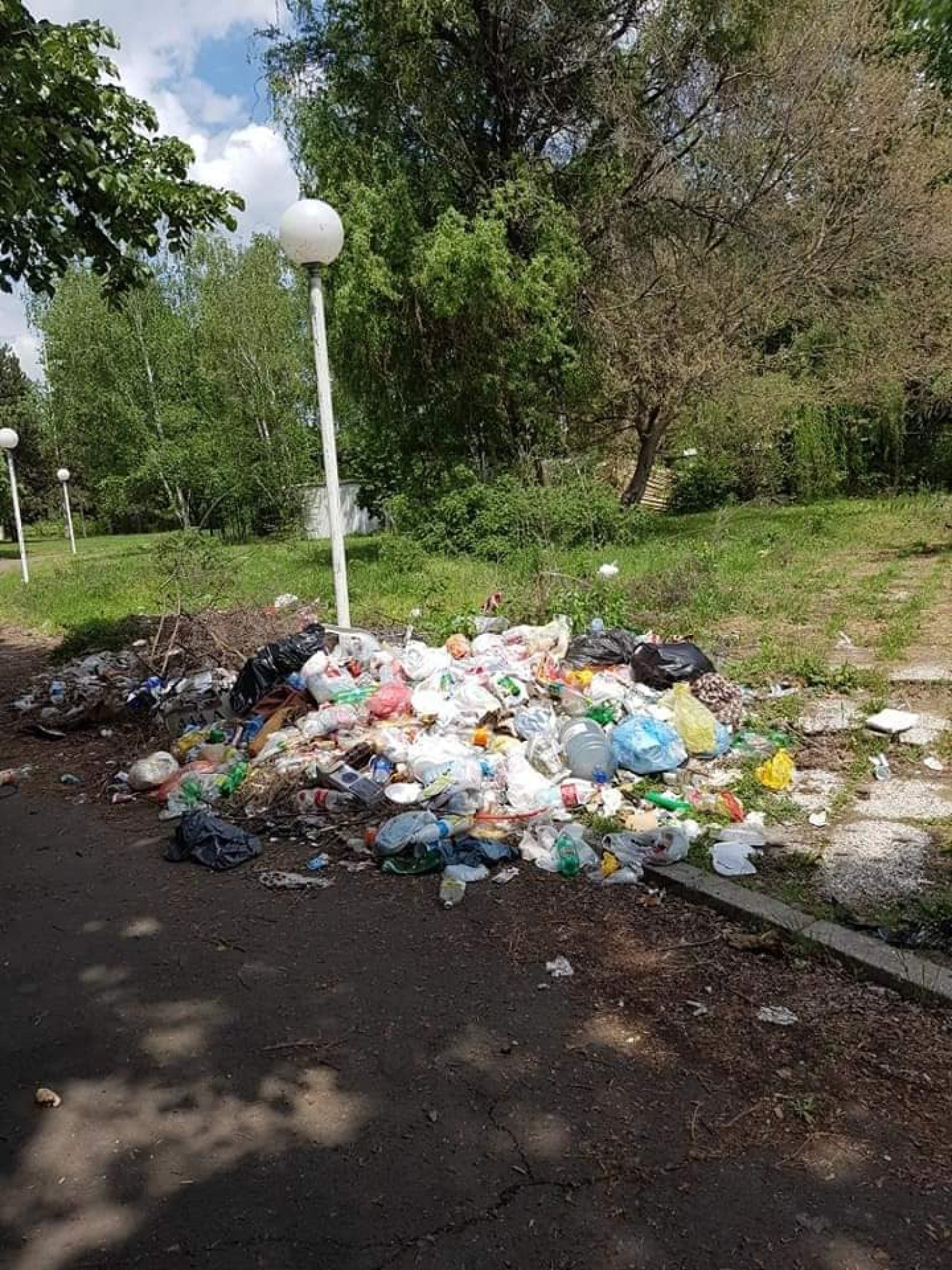 58818379_10157359810329726_5837775533621903360_n