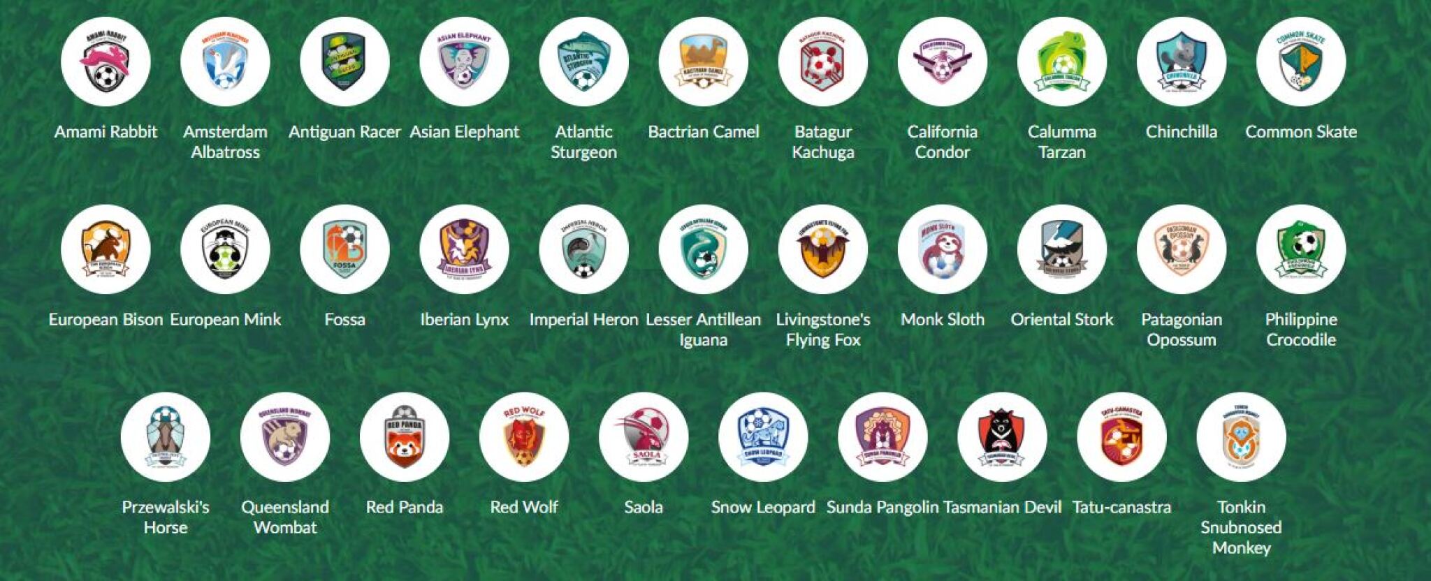 F4F_International-Football-for-Friendship-Teams_201941091