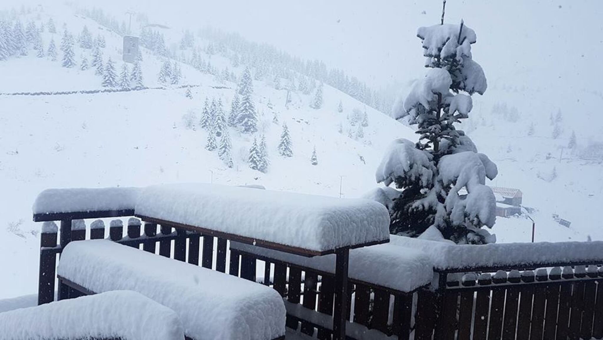 57306017_169770174015340_83715105941880832_n