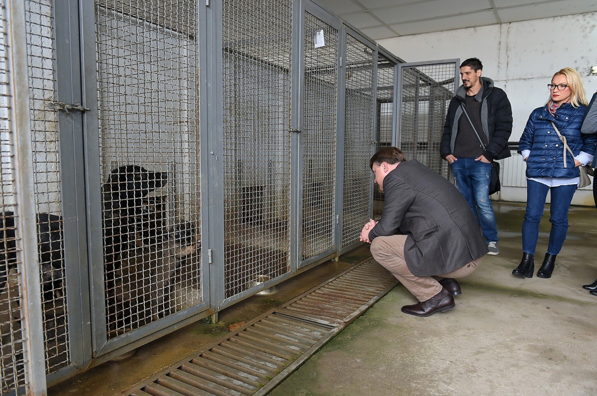 shilegov-vo-vardariste