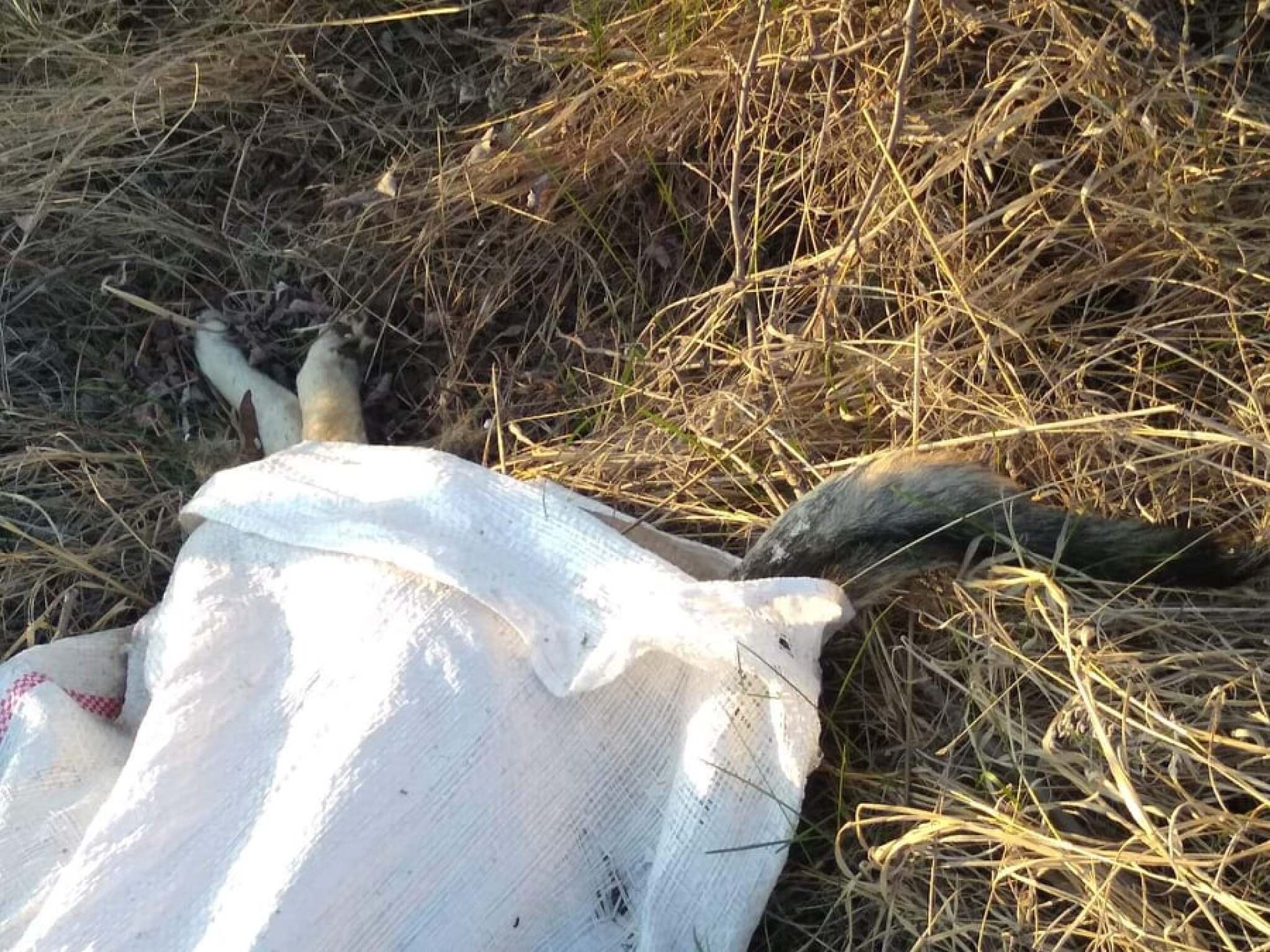 56163459_675528066200085_5726224229238571008_n